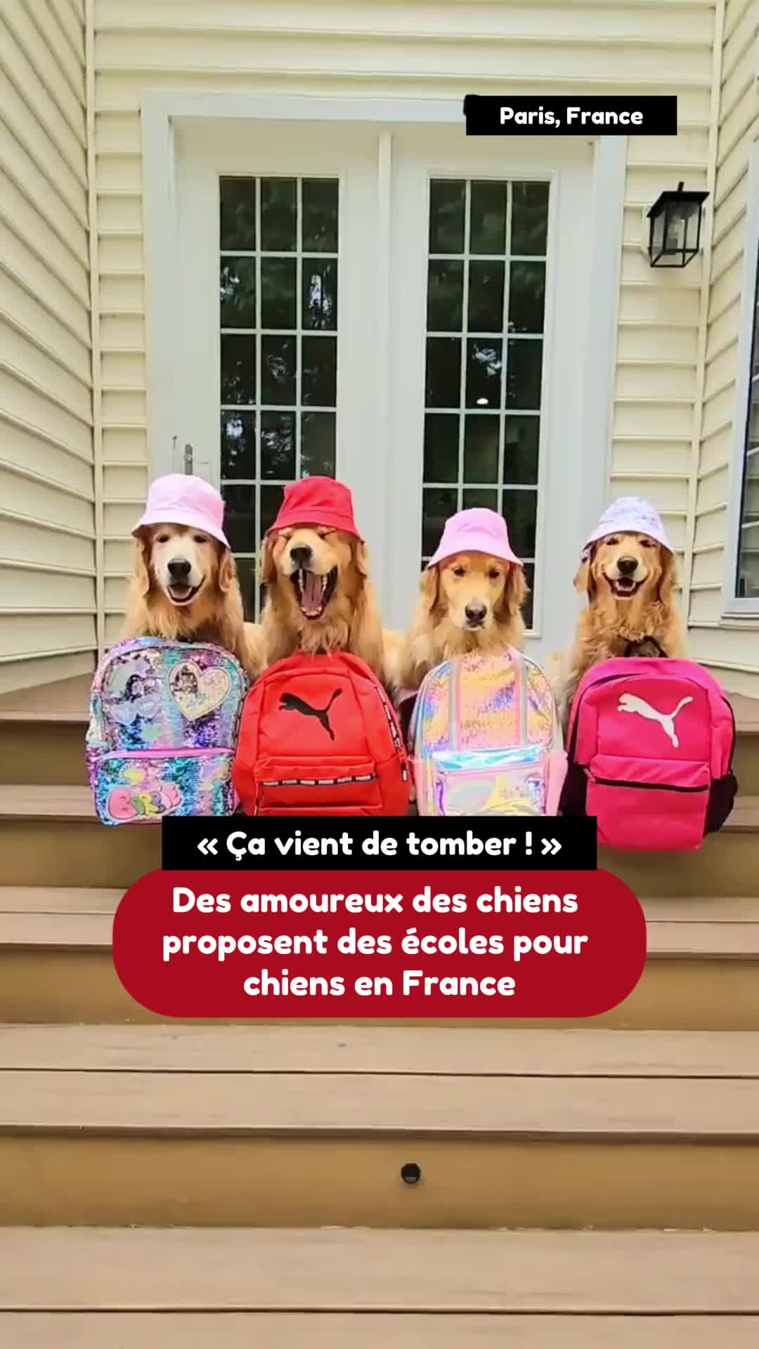 @France Écho