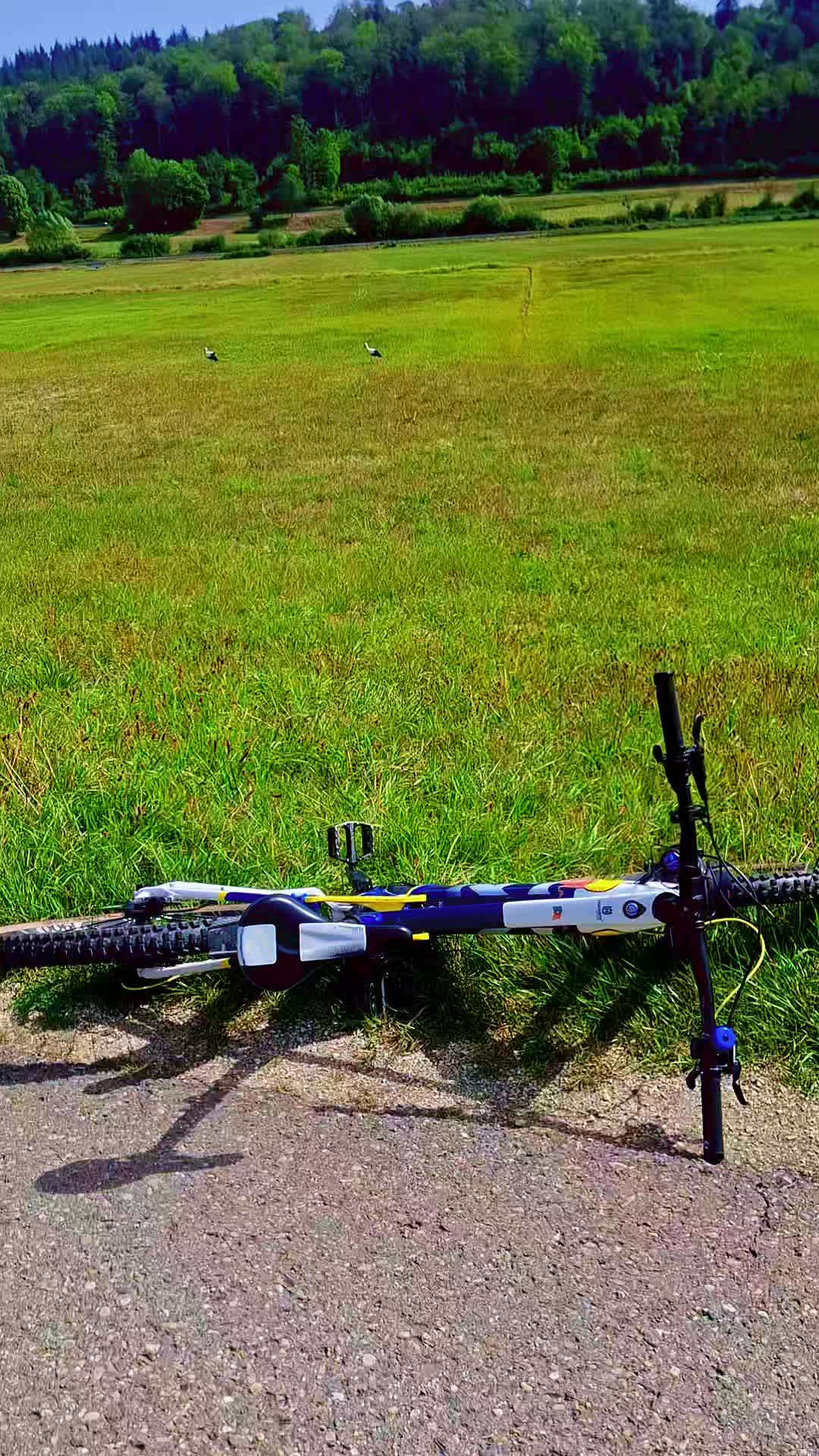 @🏁cc🏁