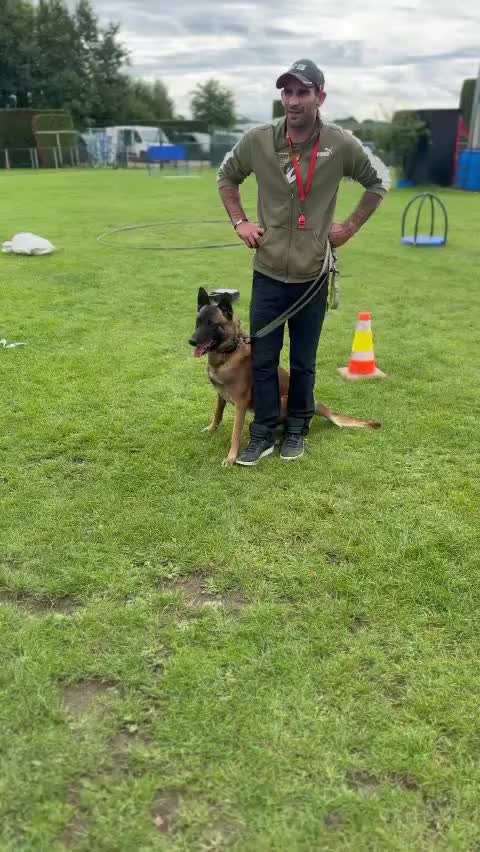 @K9 BANG