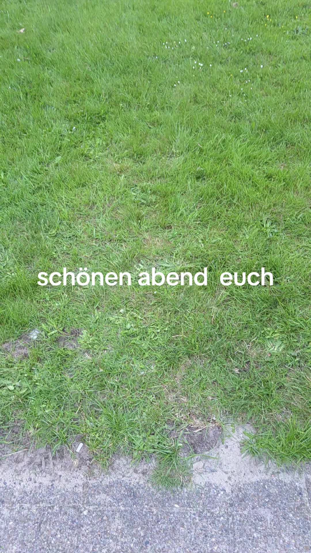 @Hans