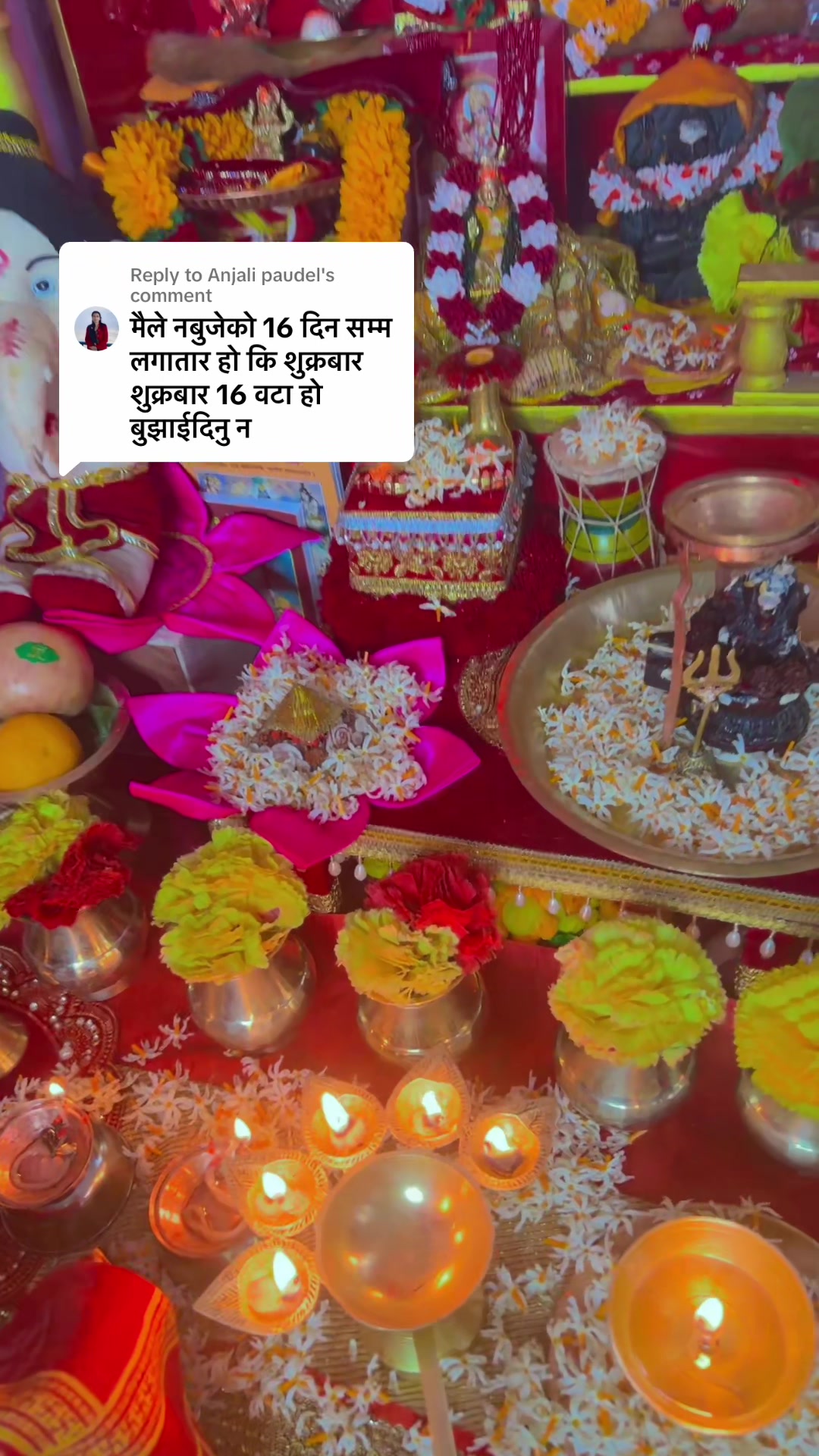 @sitashmathapa71588