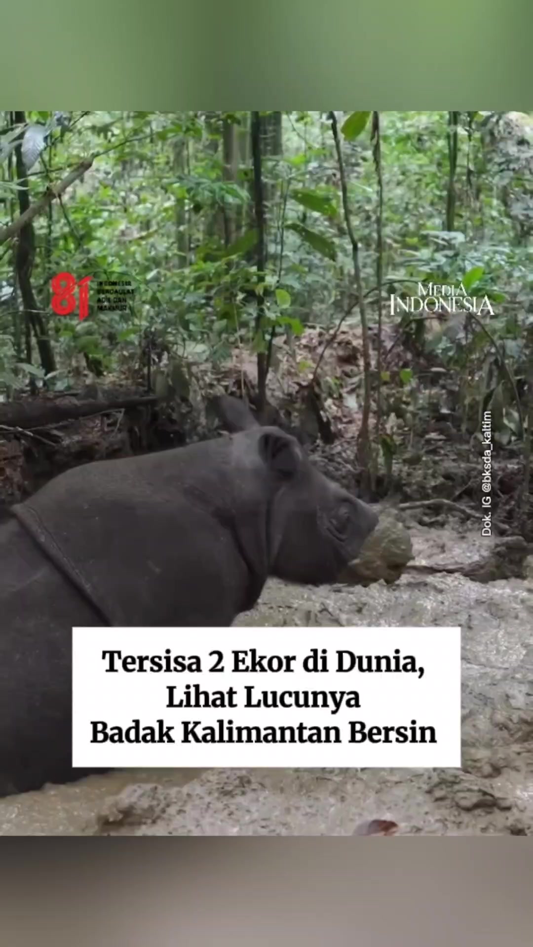 @mediaindonesia