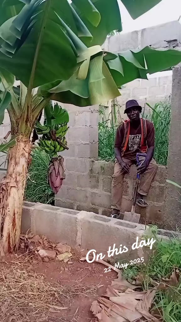 @Oghenovo
