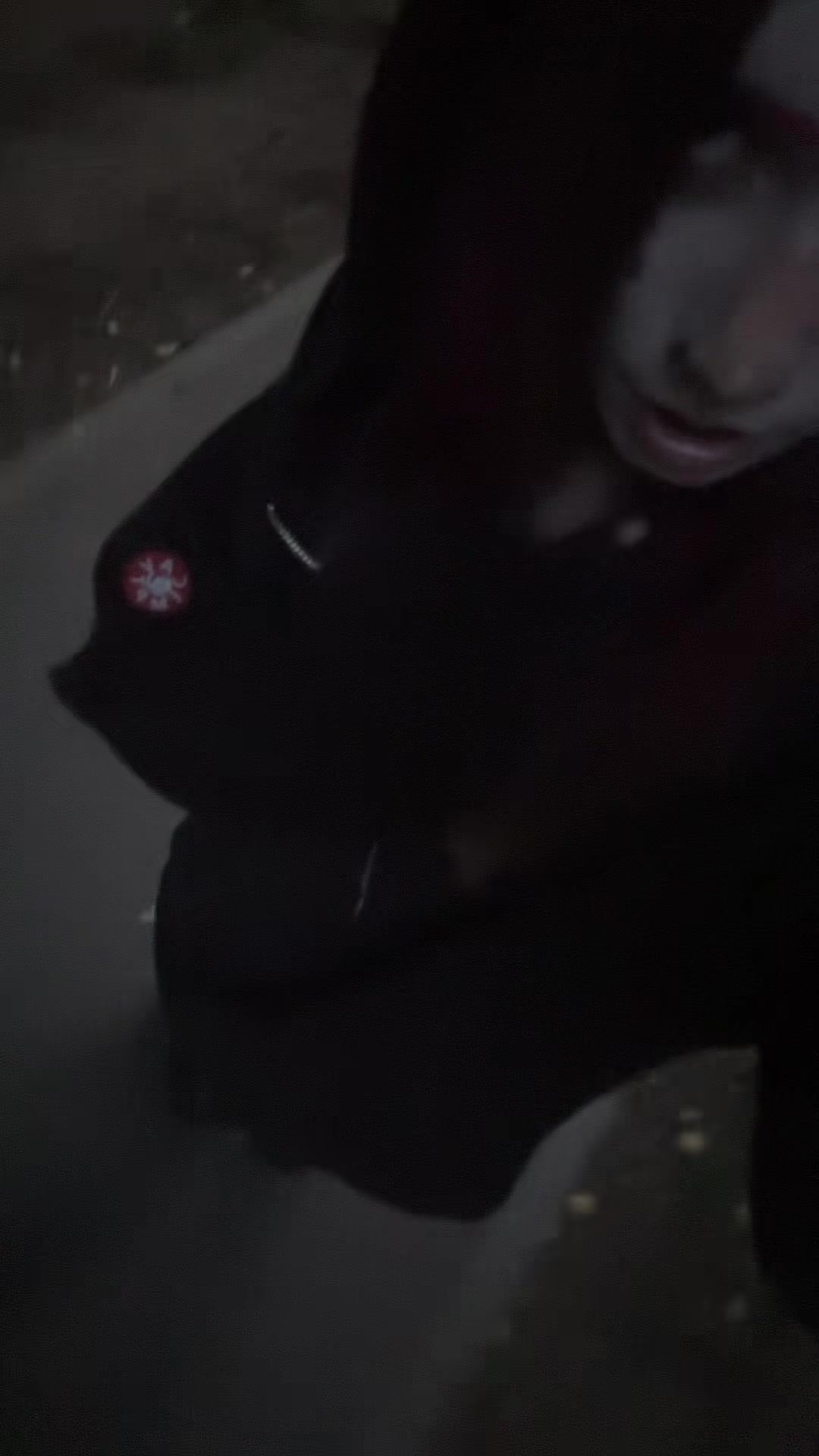 @BESSONICA
