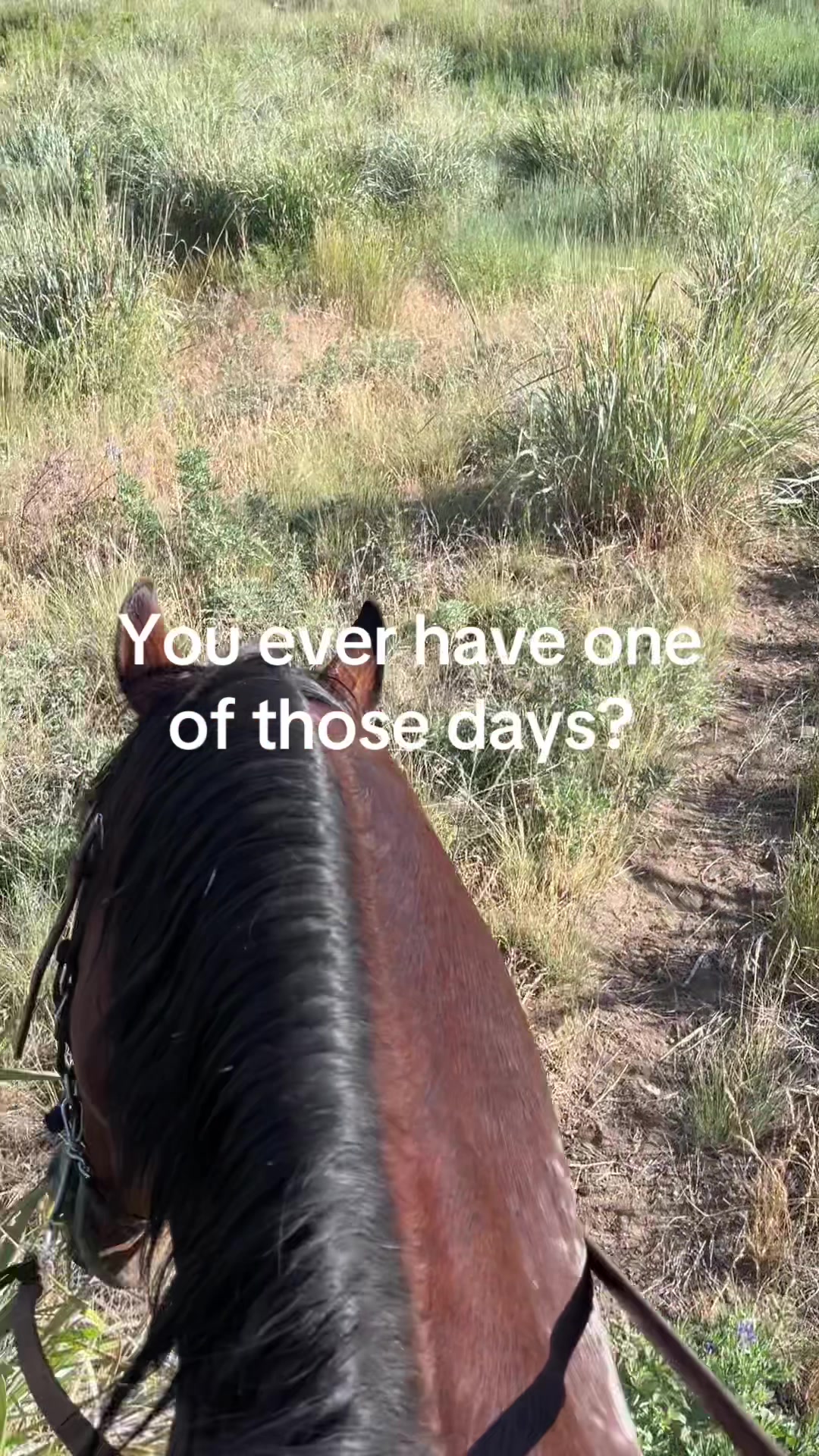 @Heidi