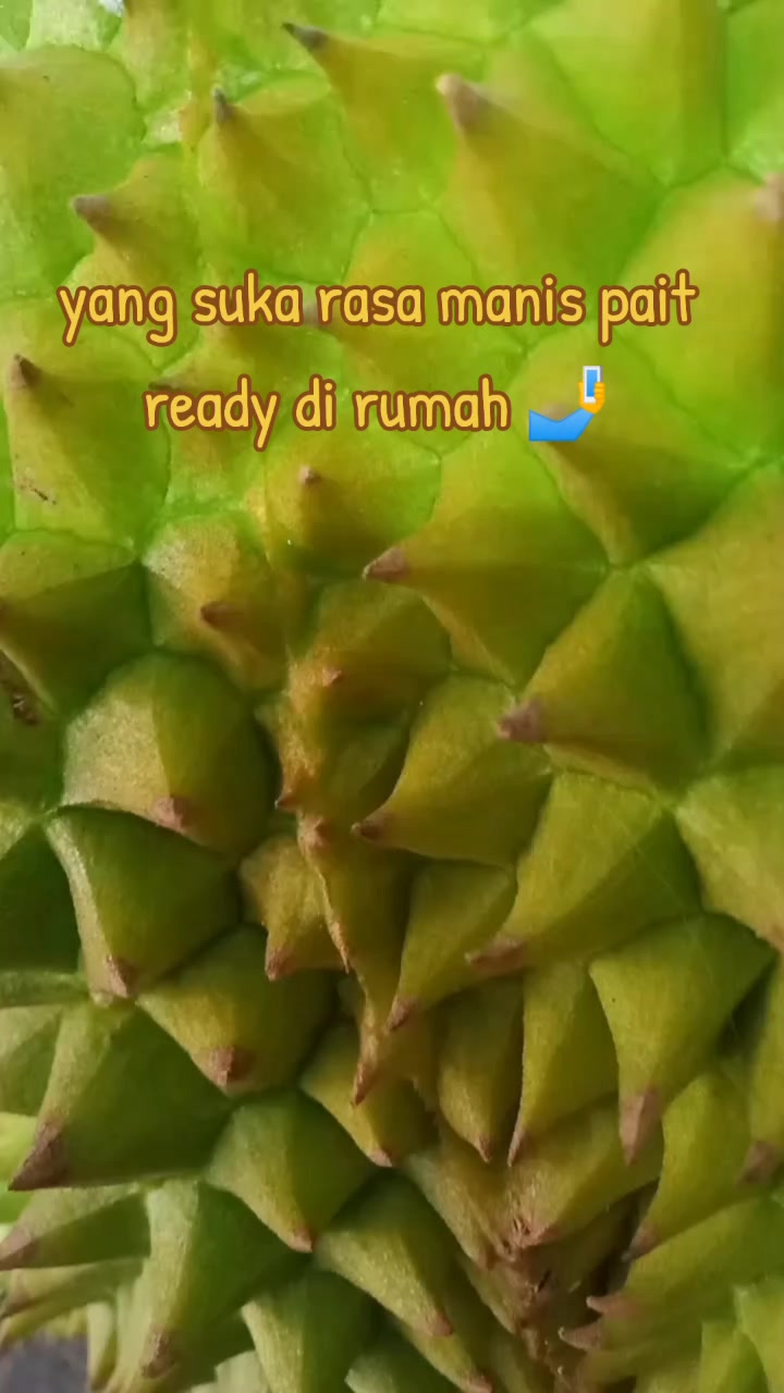 @pono duriaan wsb 🇲🇨🆗🔄🔂☎️