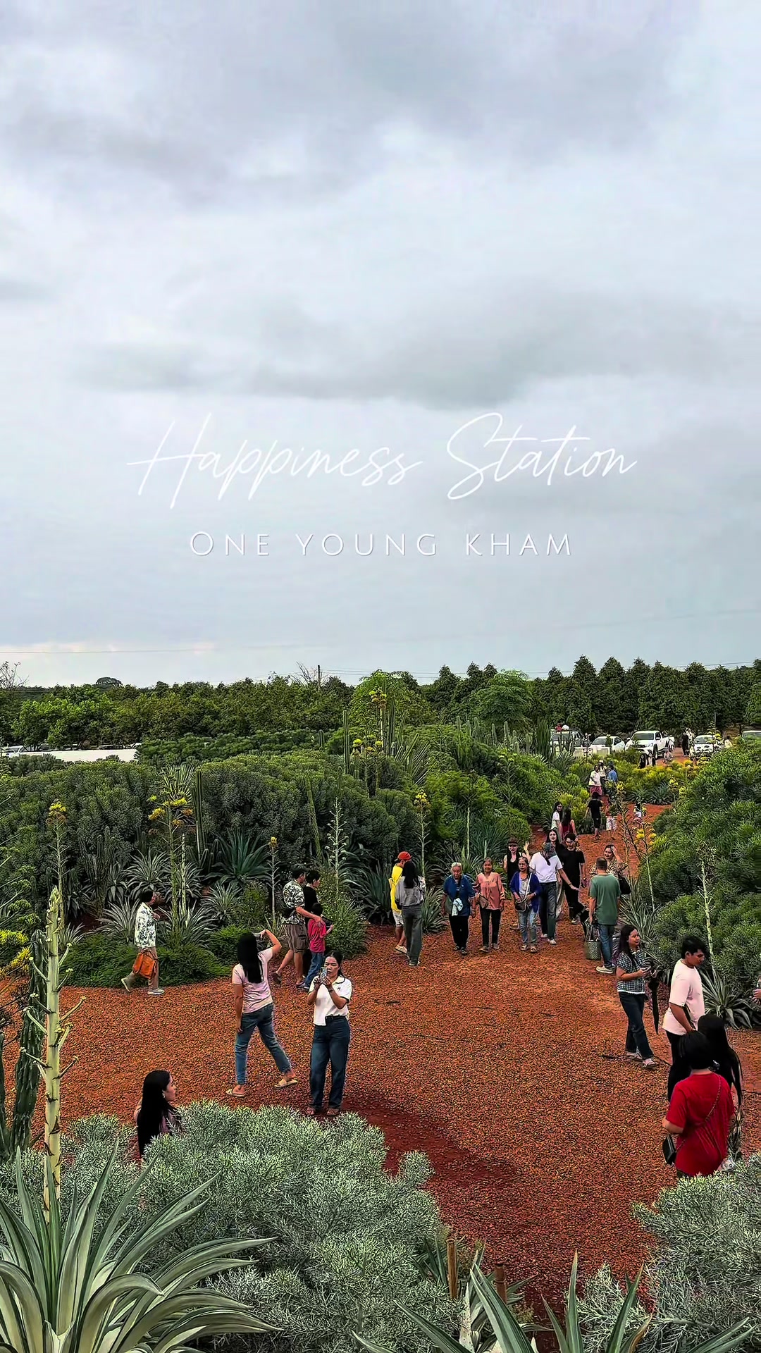 @ไร่วันยังขำ Oneyoungkham farm