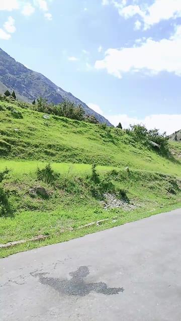@سیدذادی