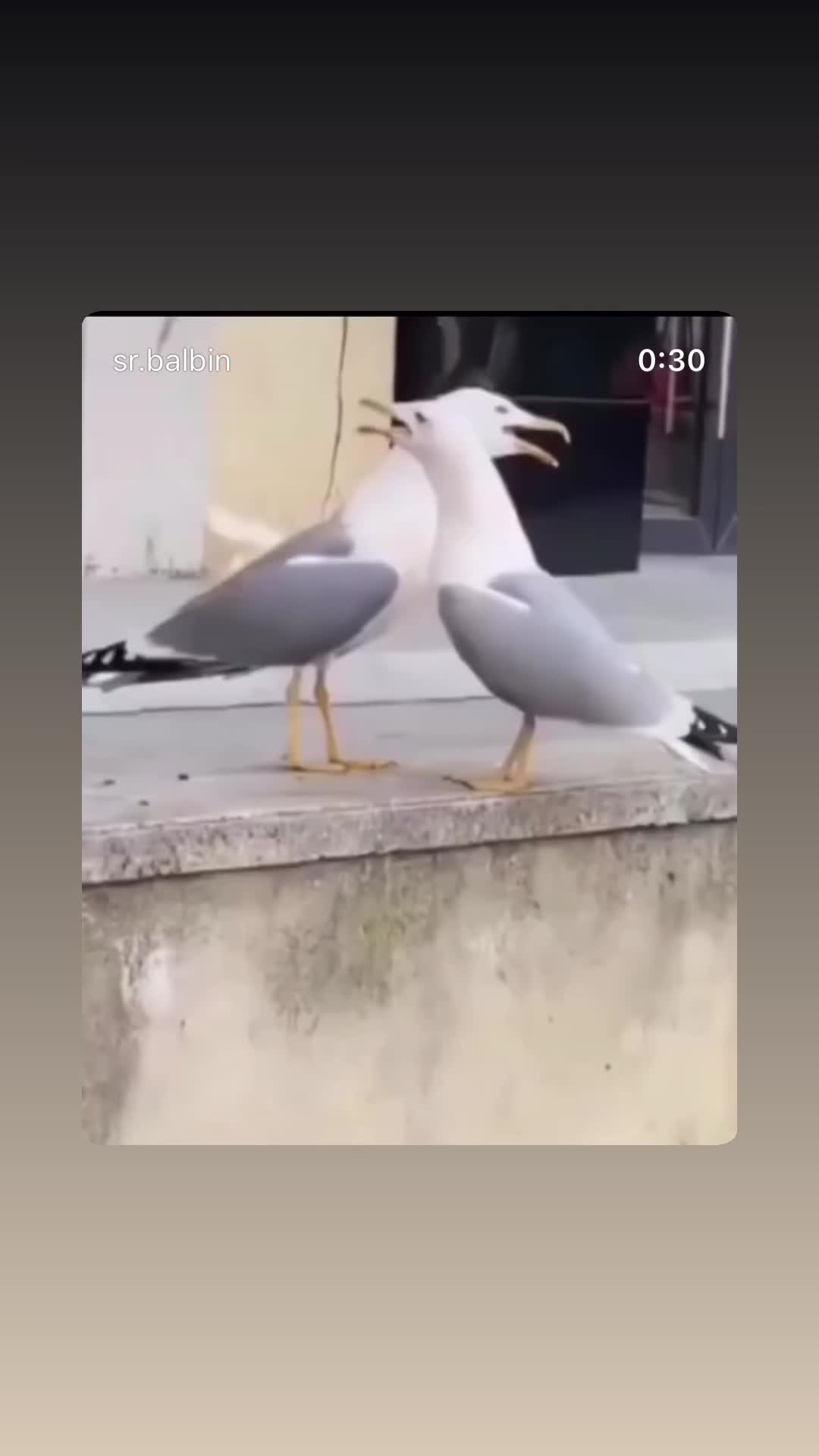 @sury_094
