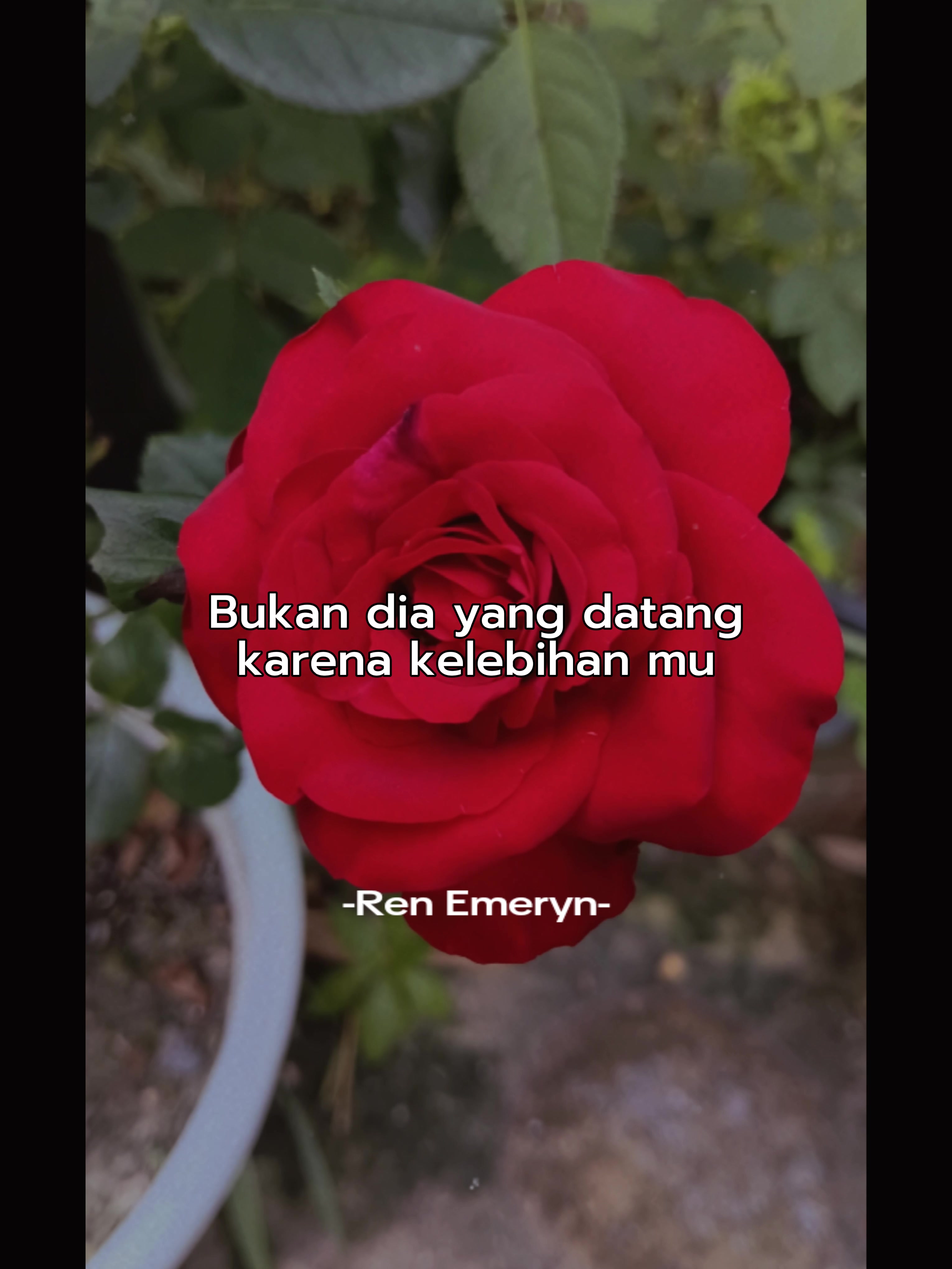 @Ren➖Emeryn