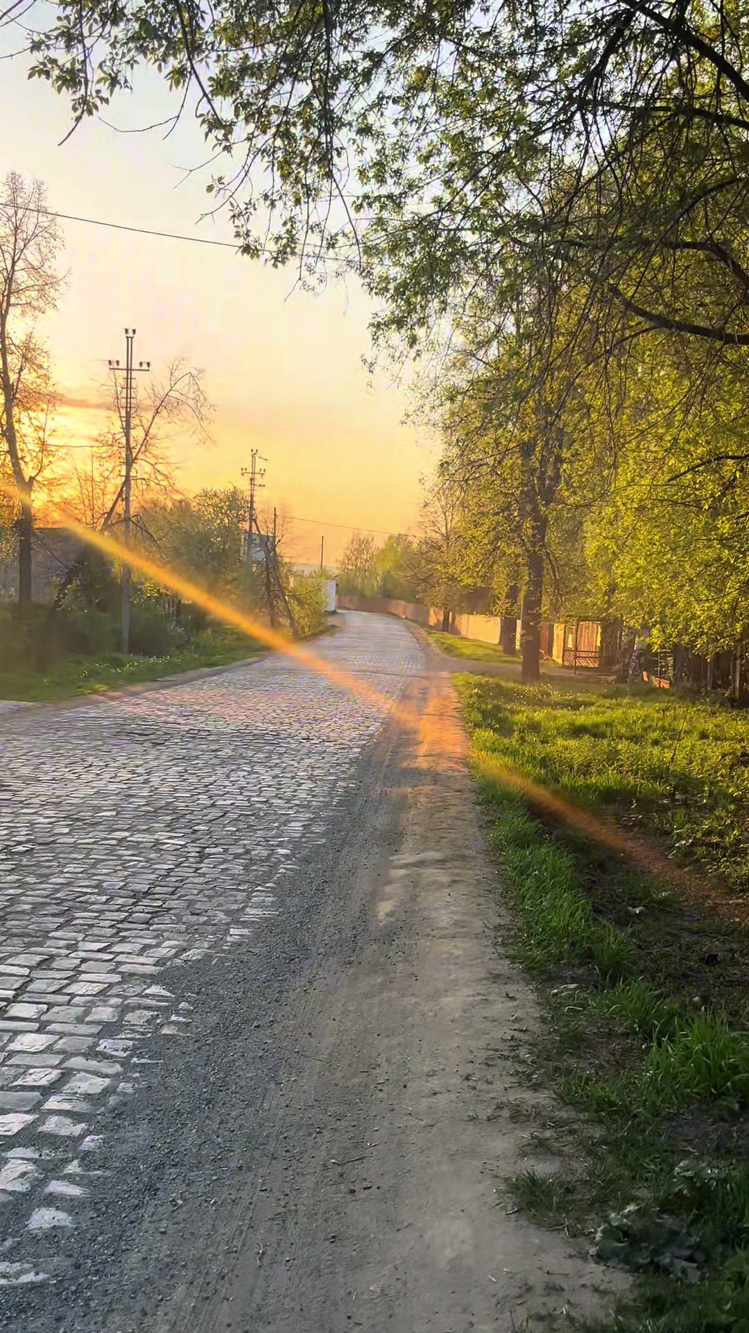 @чиф