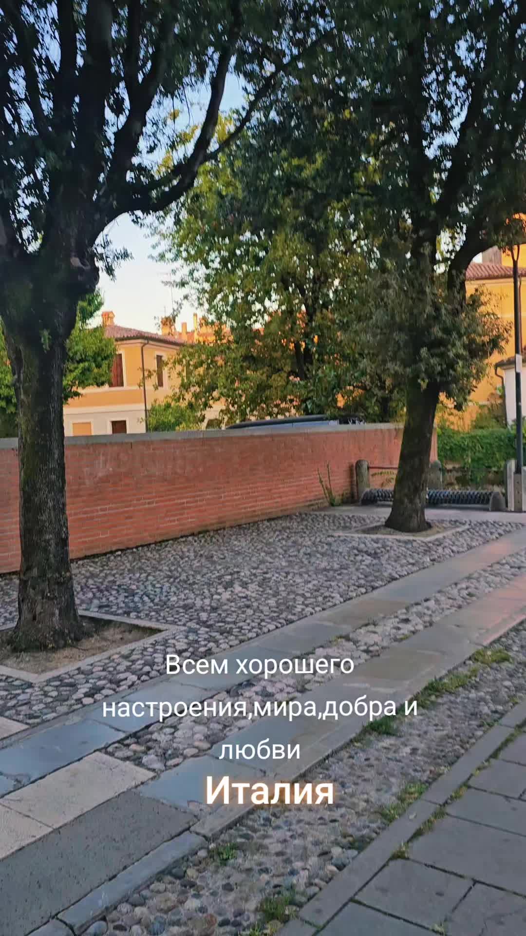 @Nadja Kopp593
