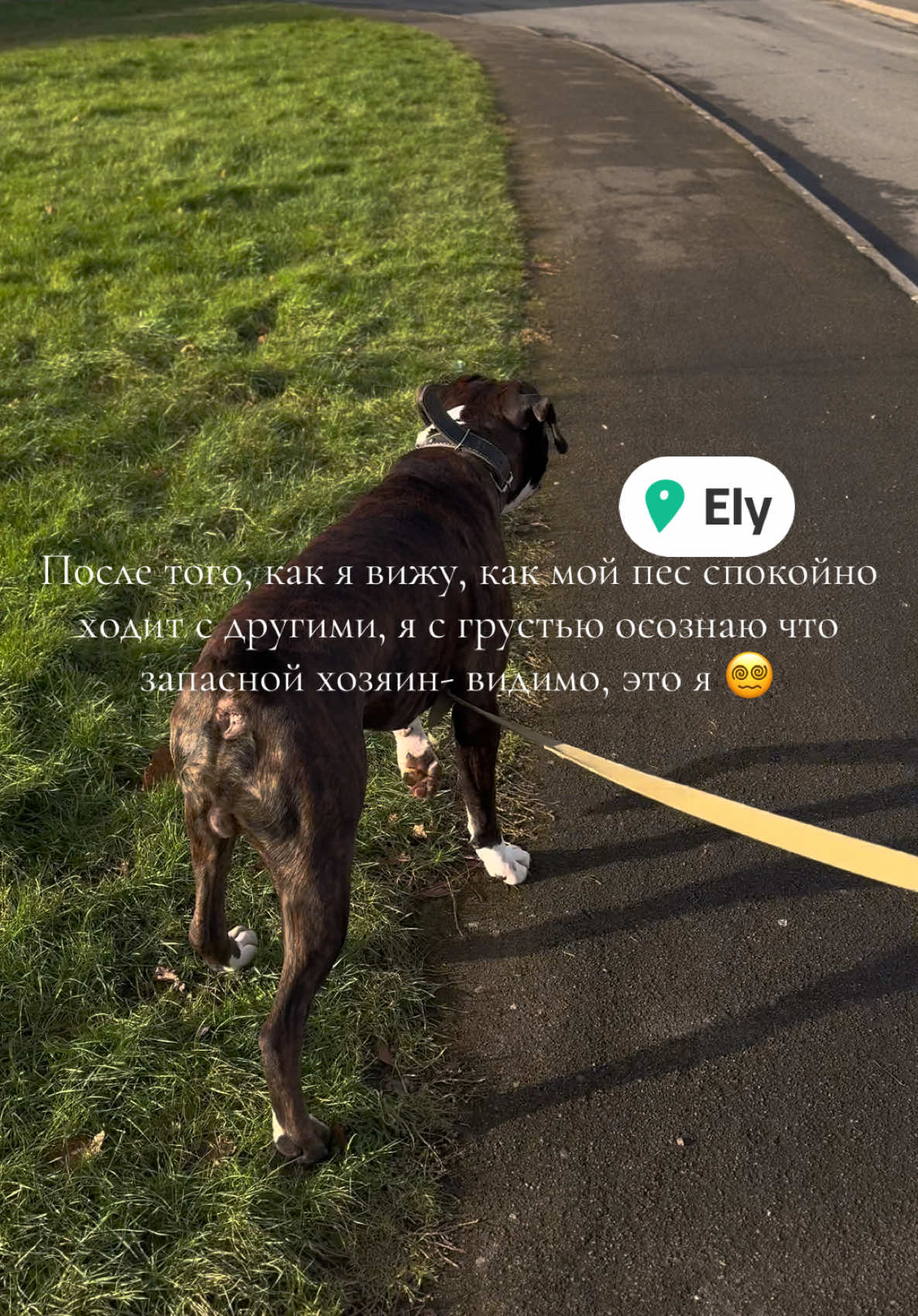 @wszystko🐁