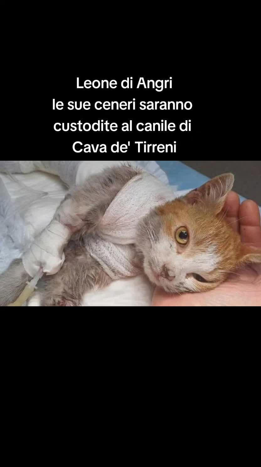 @🐿️ Gabriella 🐻🐺