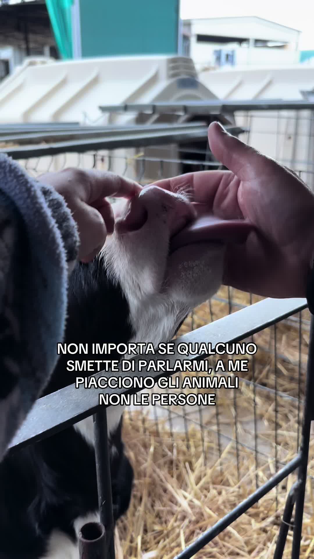 @anninaaina