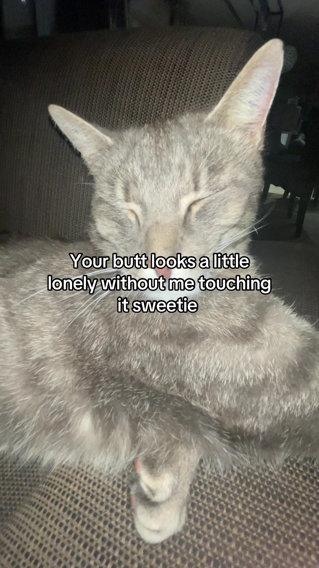@Micky