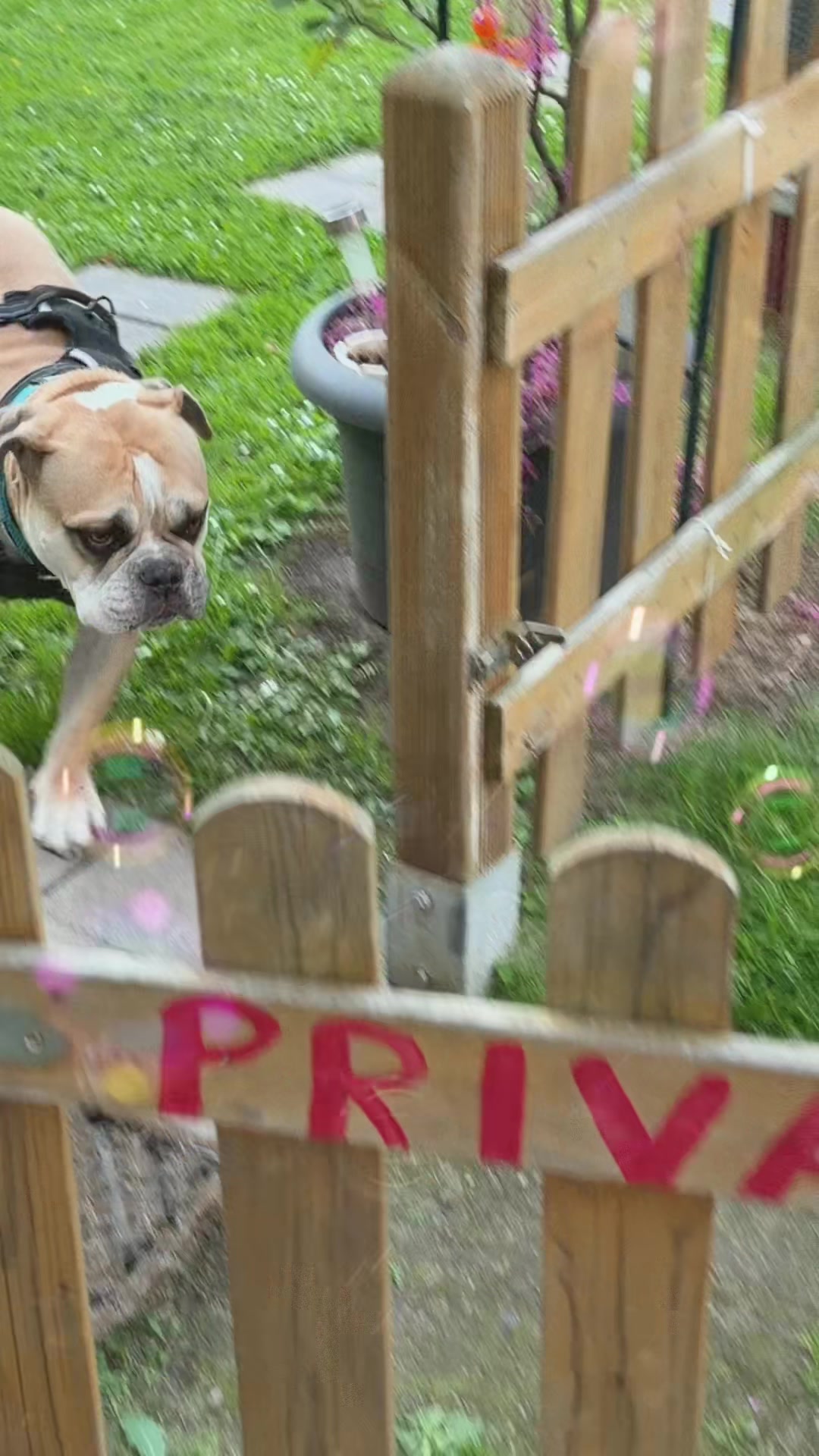 @Mogli🐾