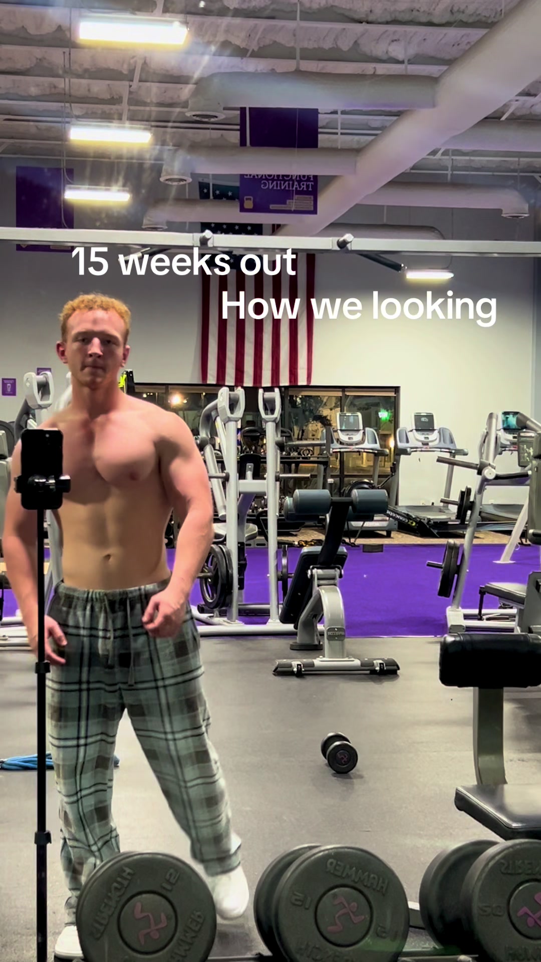 @small_ginger_