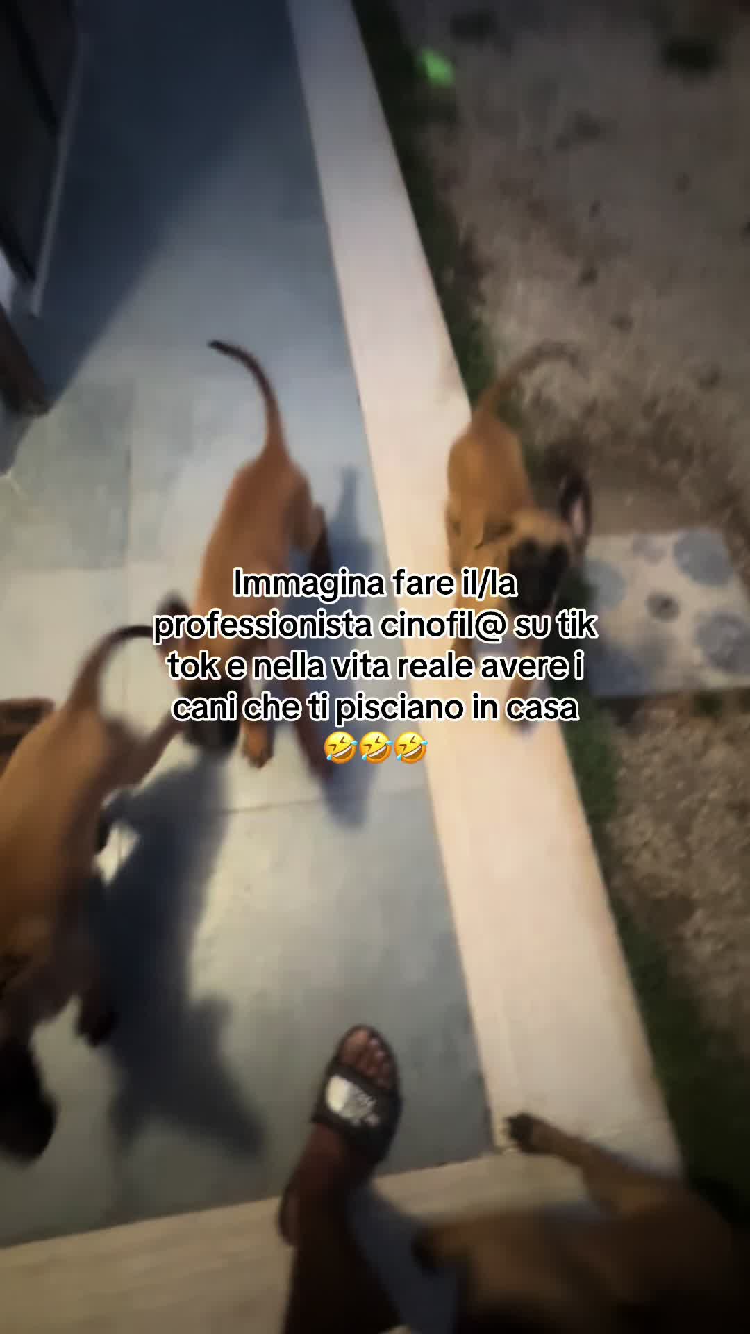 @Apacktale