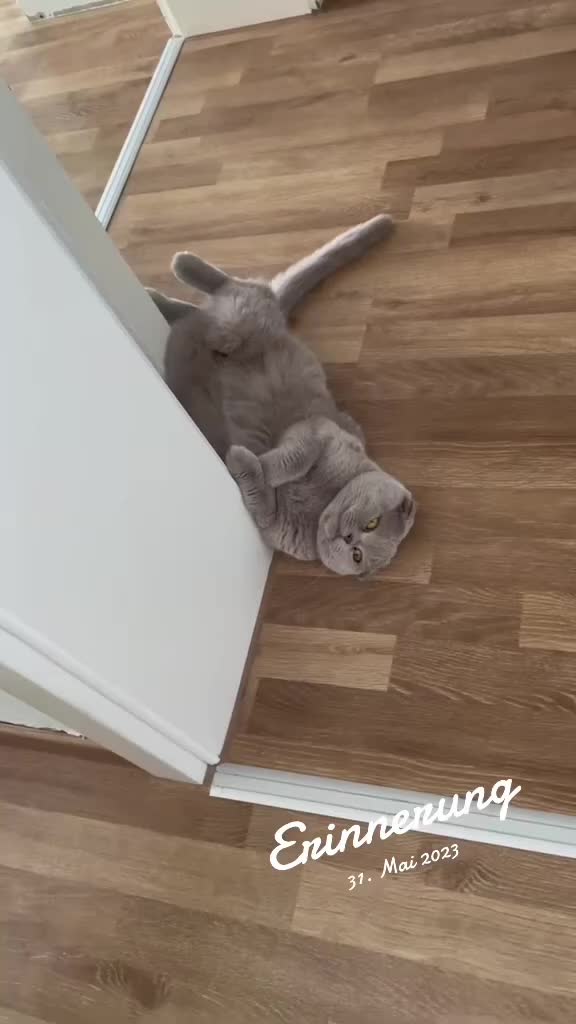 @Анна