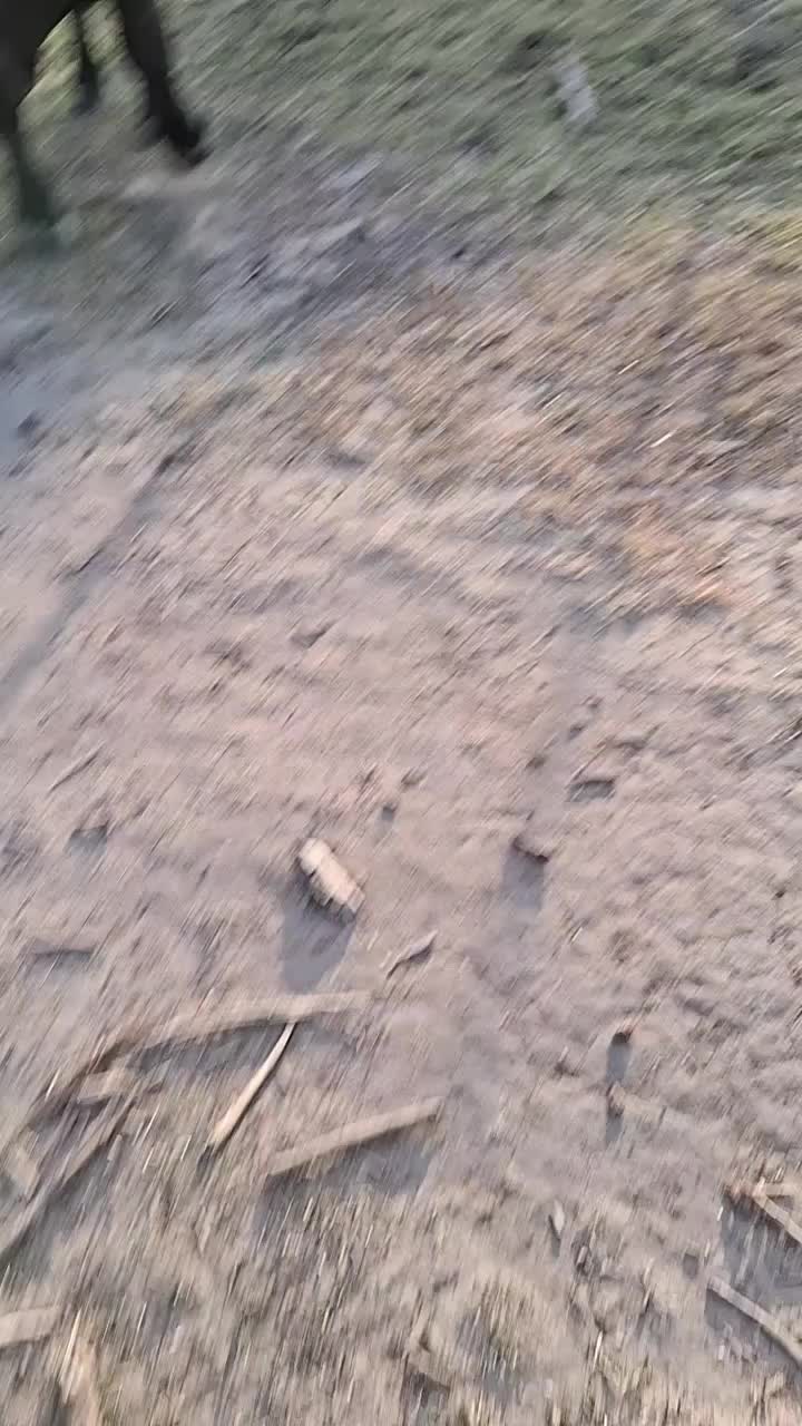 @mousie3362
