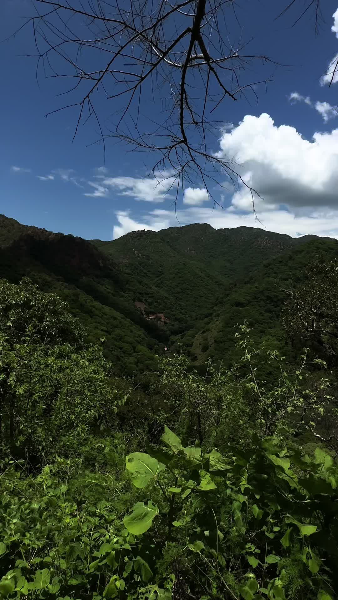 @emilioaguirre