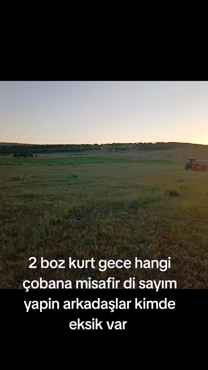 @erdogan 25