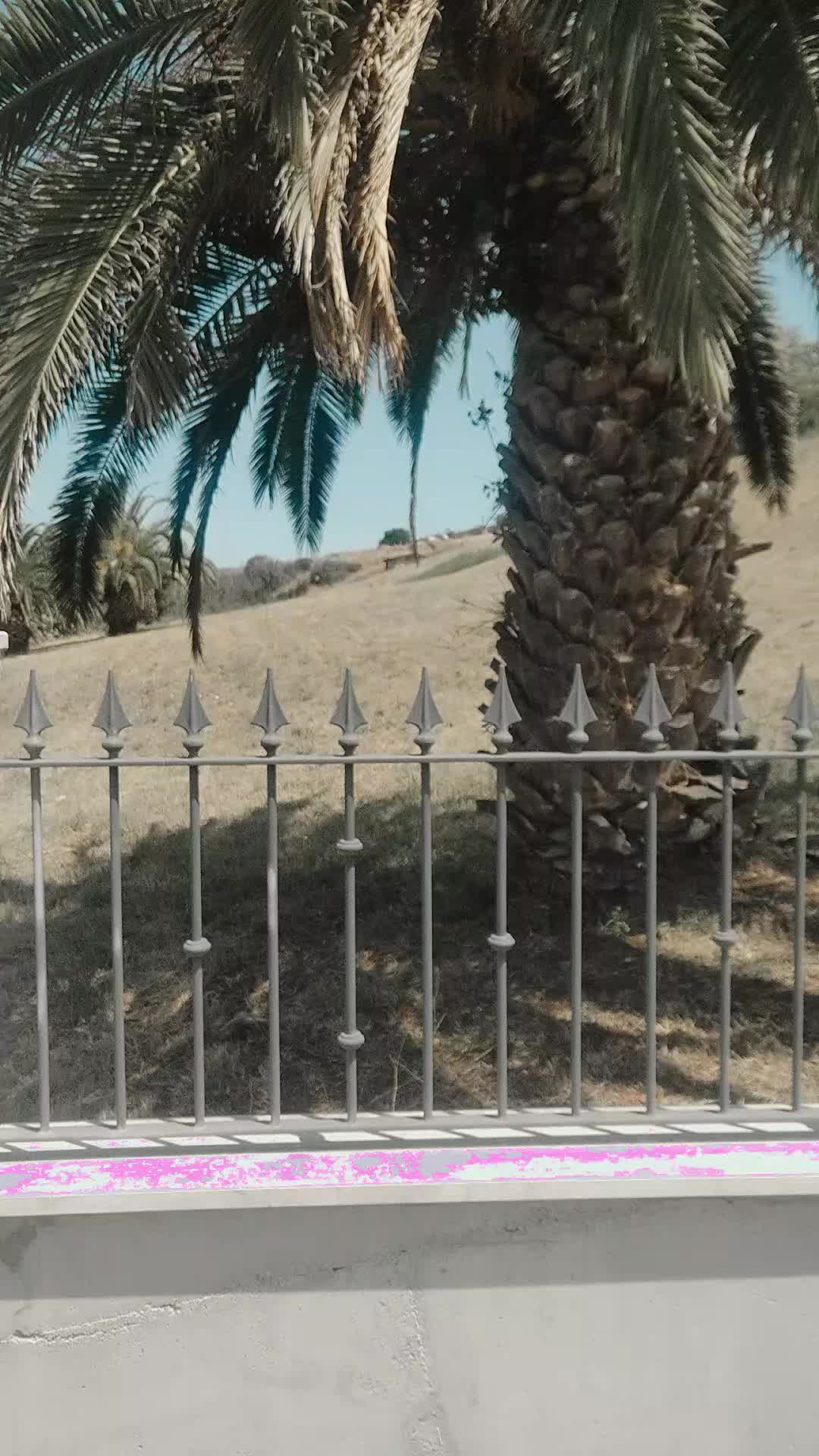 @nedoucha