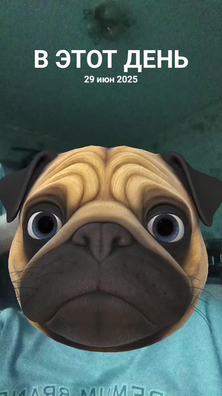 @кот