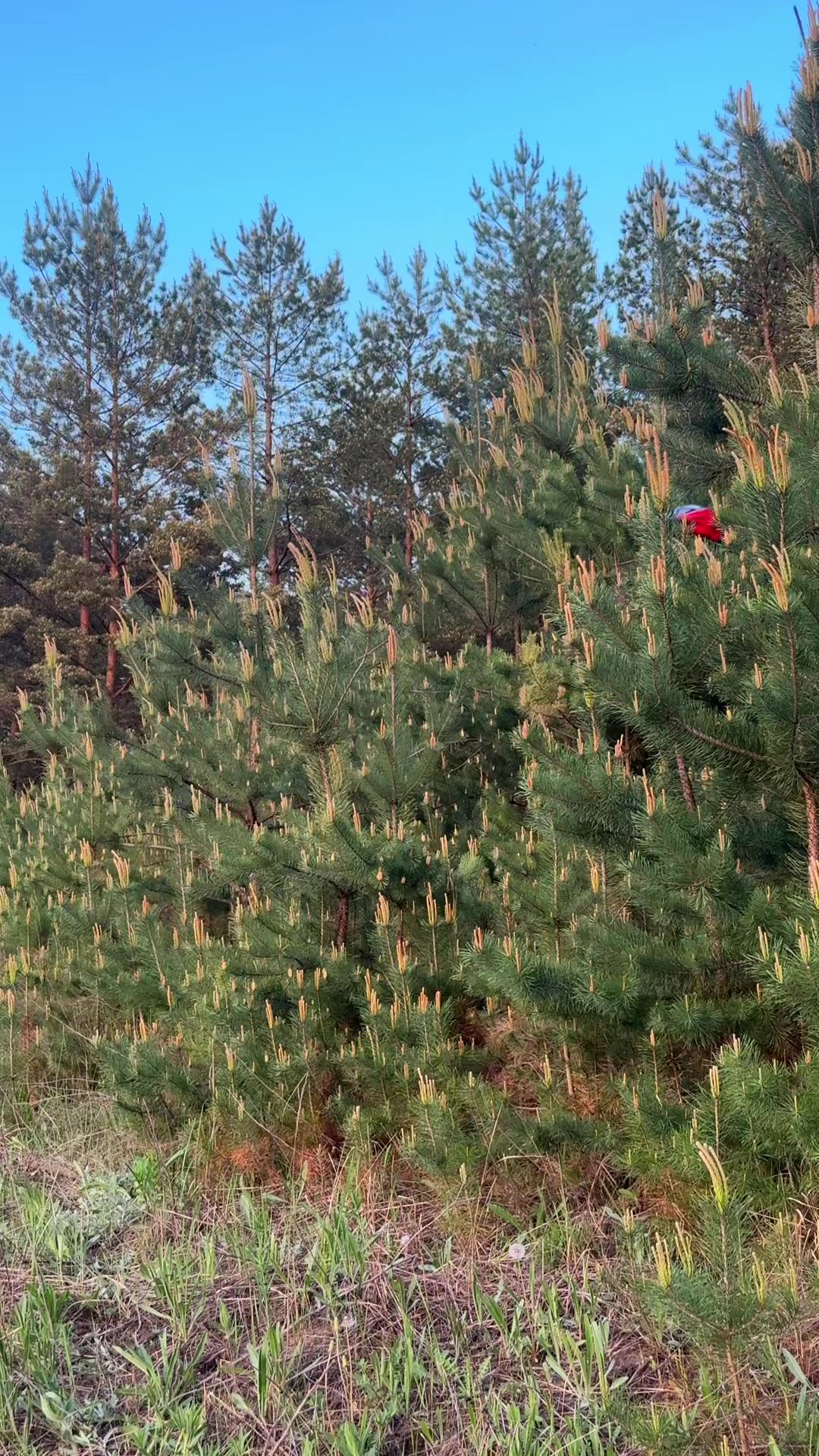 @тгк: ЖеняENDURO🏍️