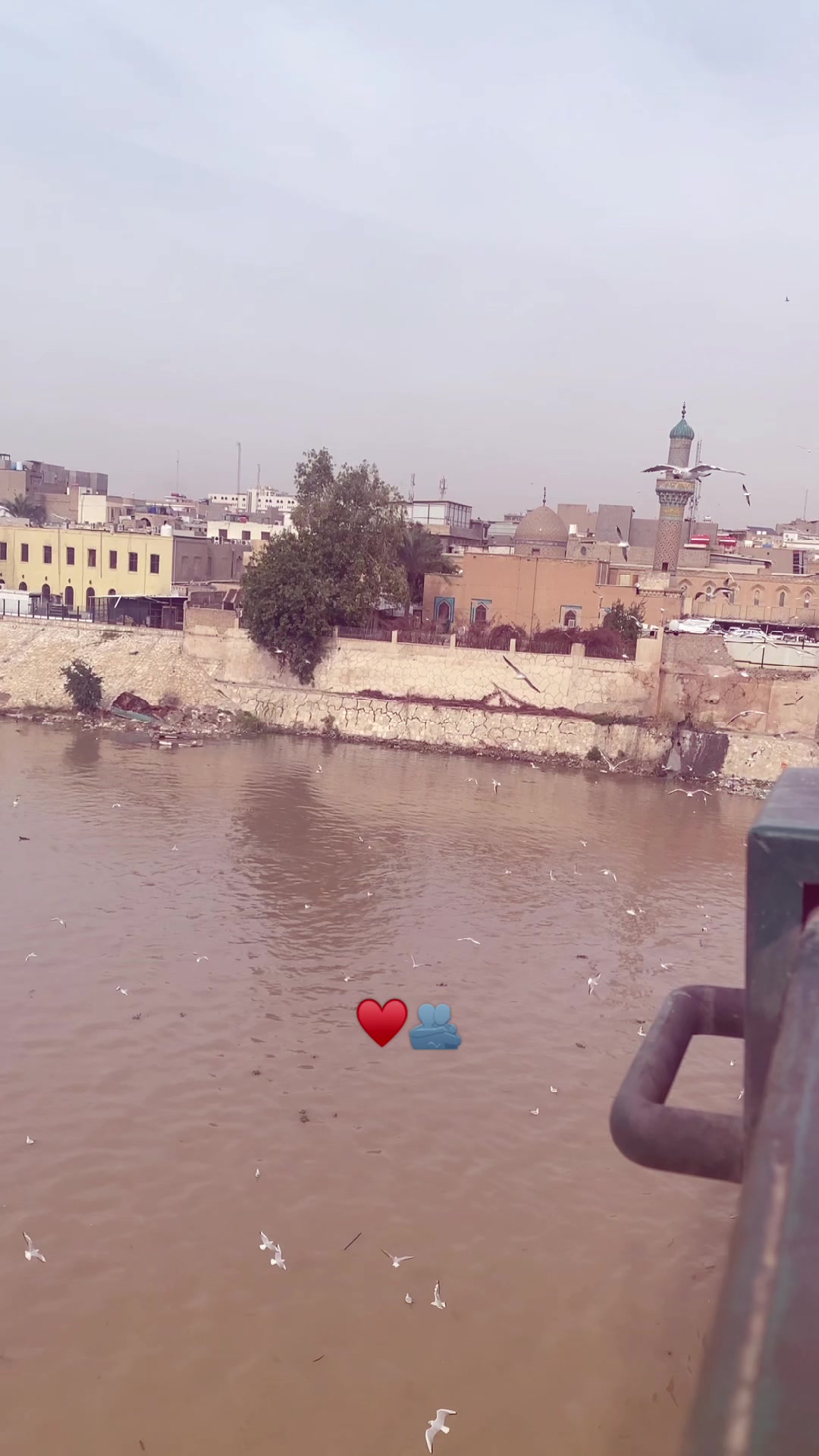@ايمن عدنان