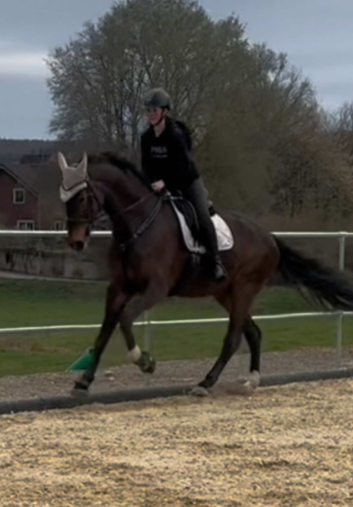 @annalisa.equestrian