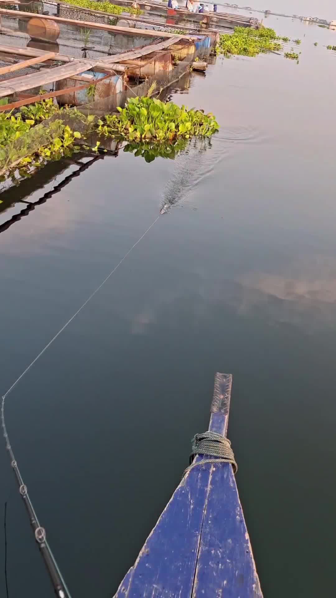 @TungFishing