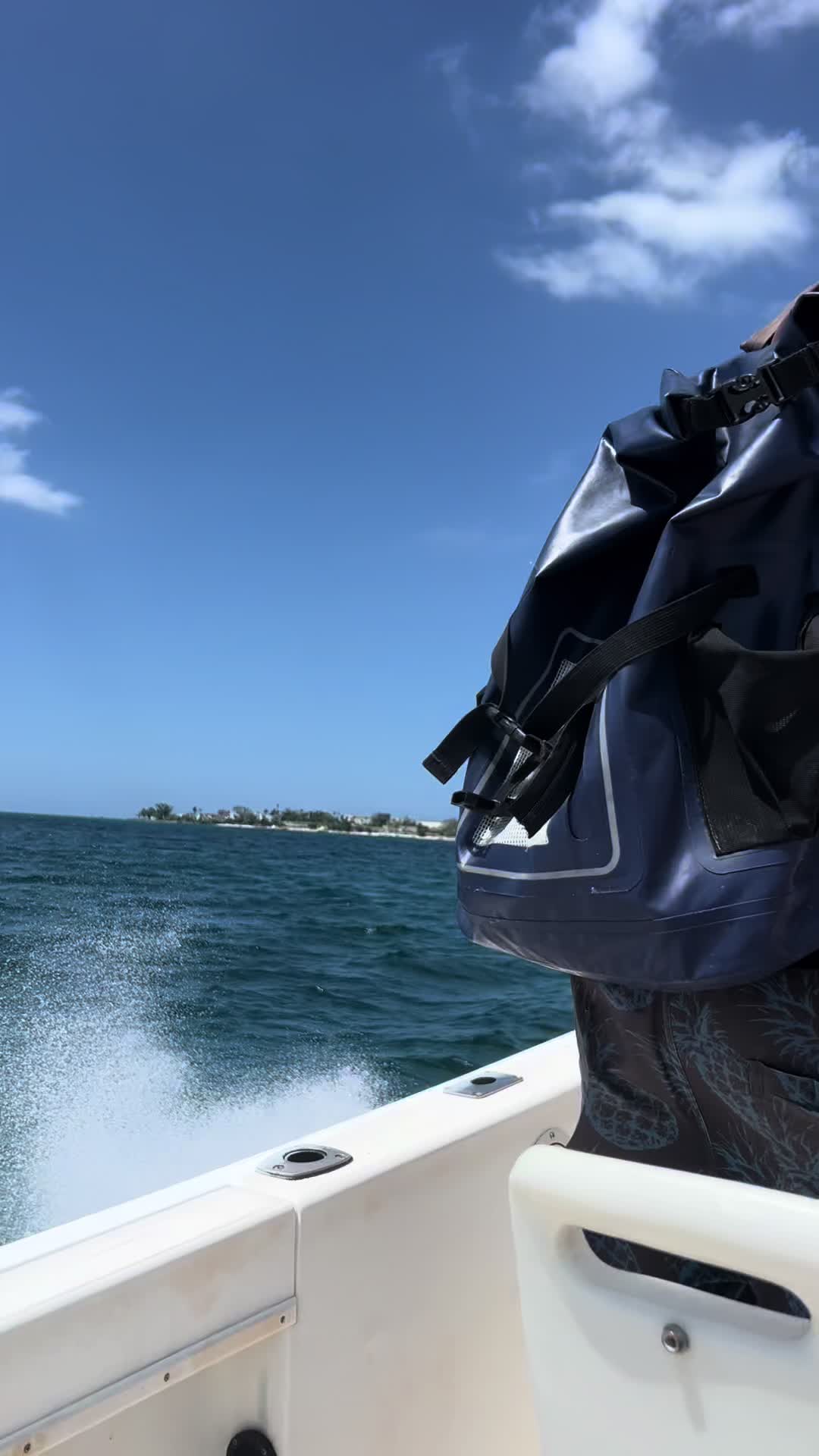 @Fiwi 🏖️🇯🇲🇧🇸