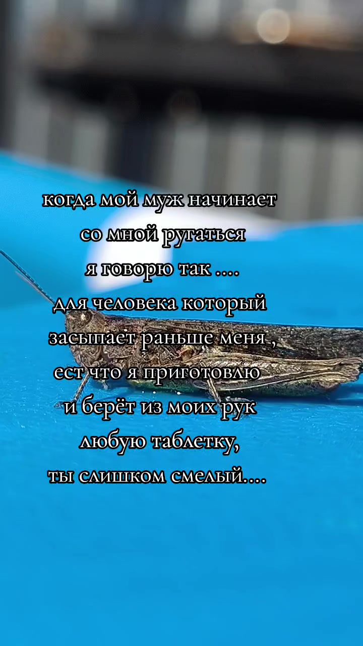 @Кэти