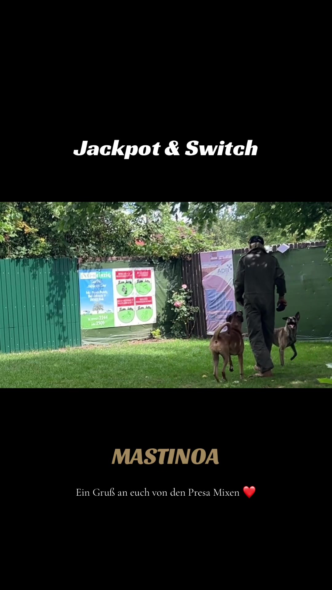 @MASTINOA pro