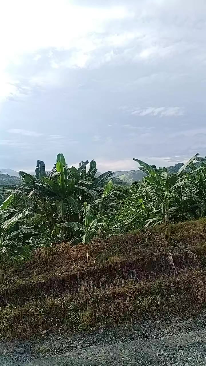 @PiscesAilyn🦋