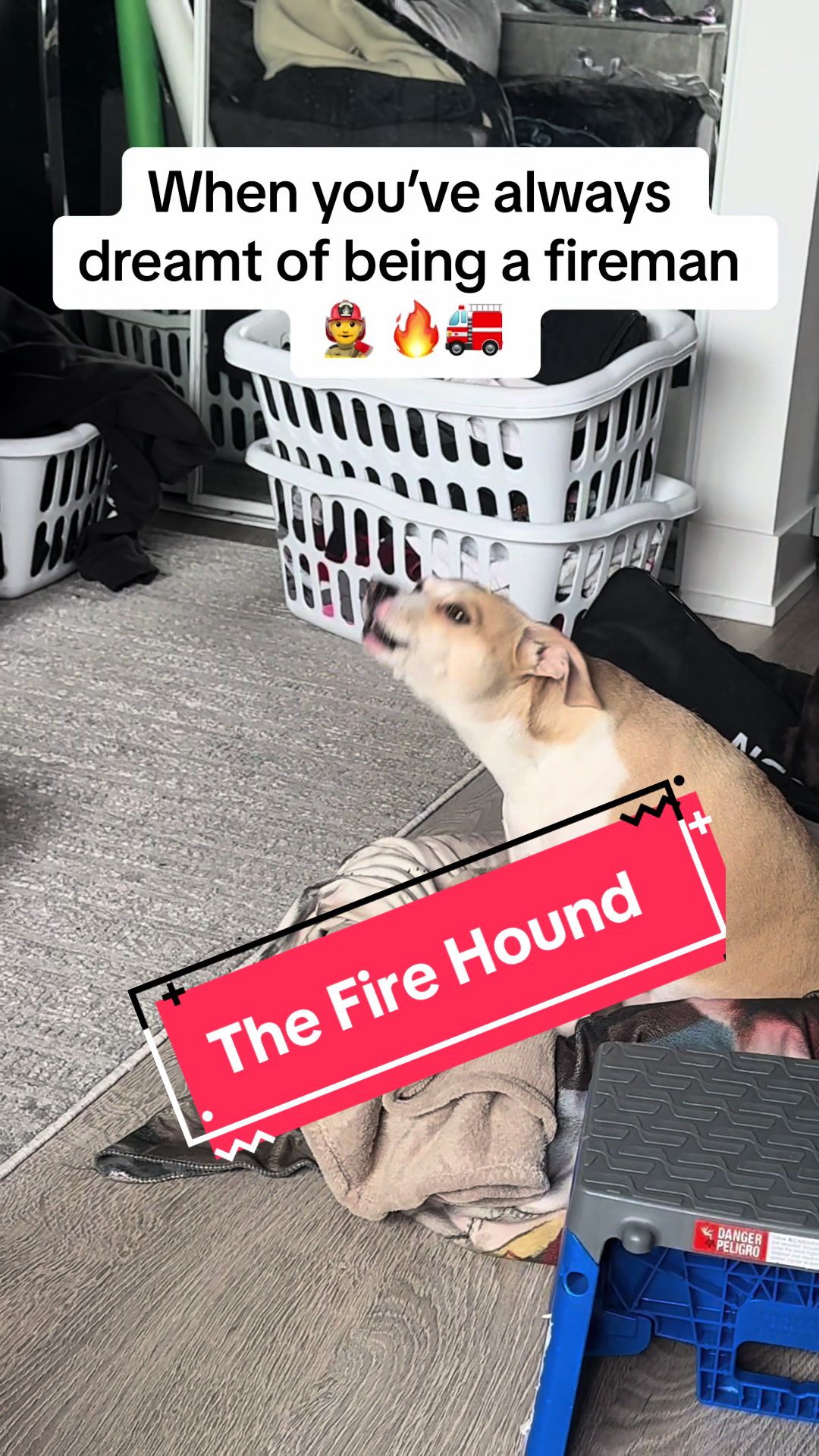 @The Bark Booth