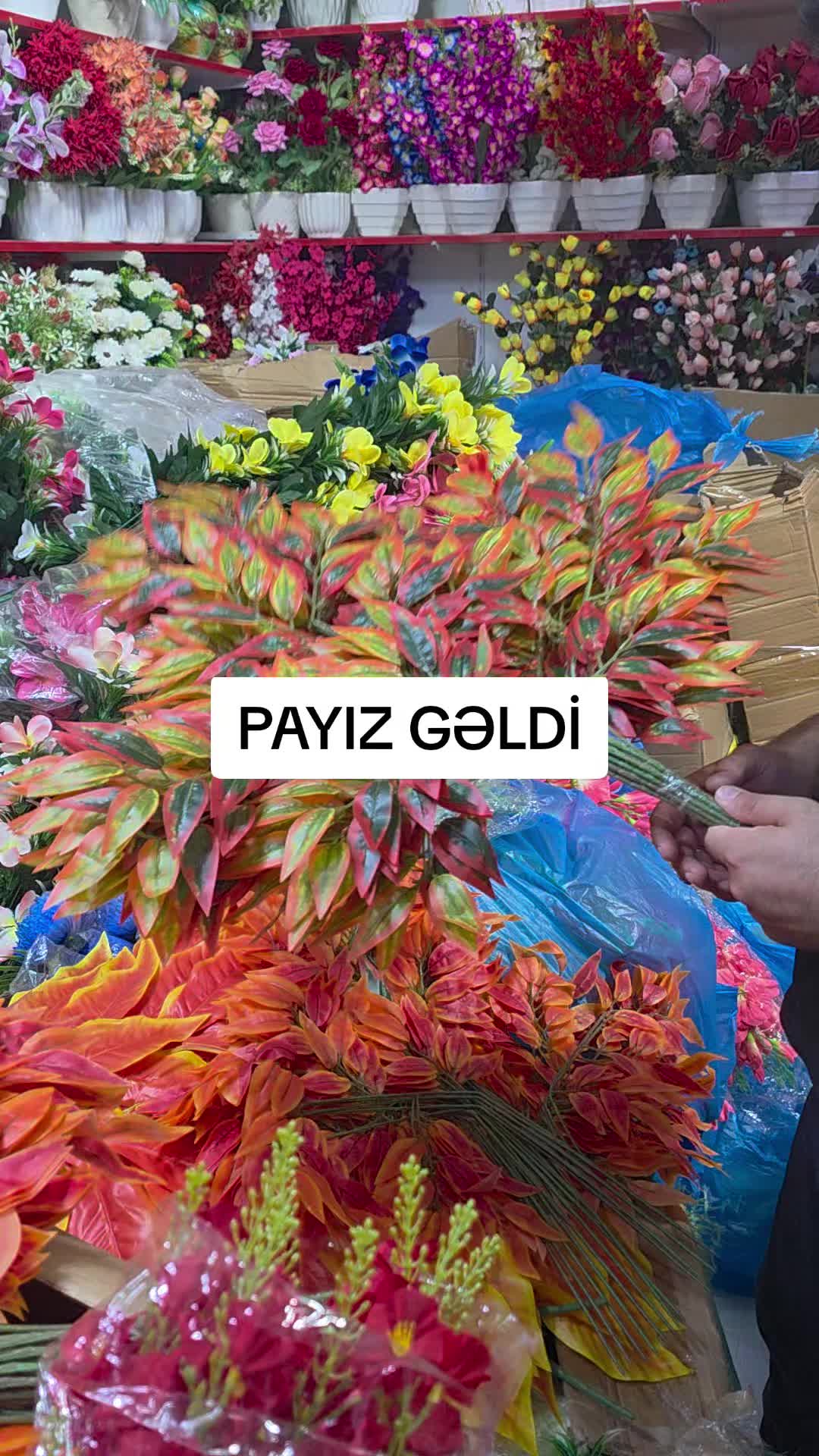 @Sədərək TM Gül mağazası Topdan