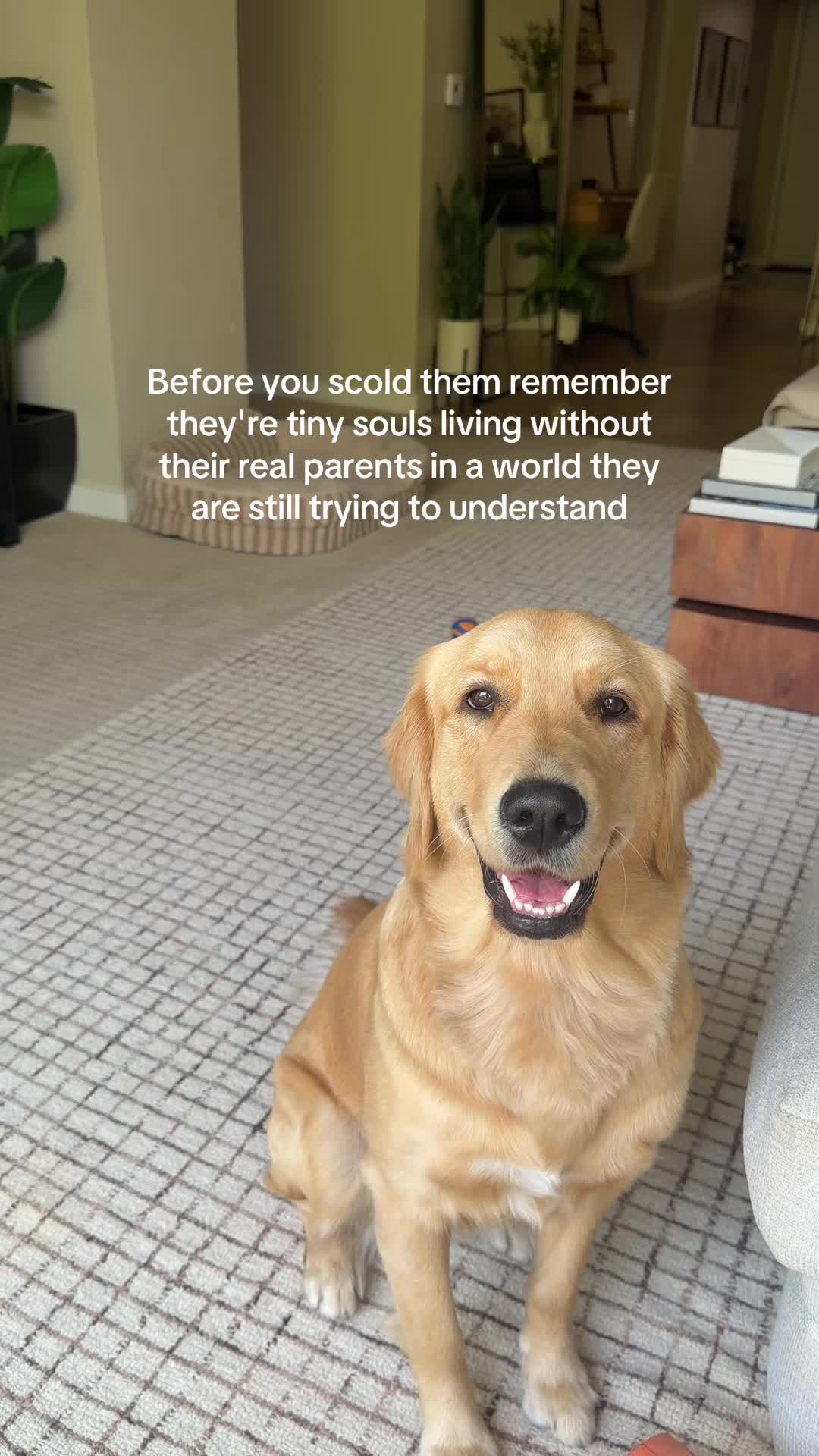 @Tater the Golden Girl