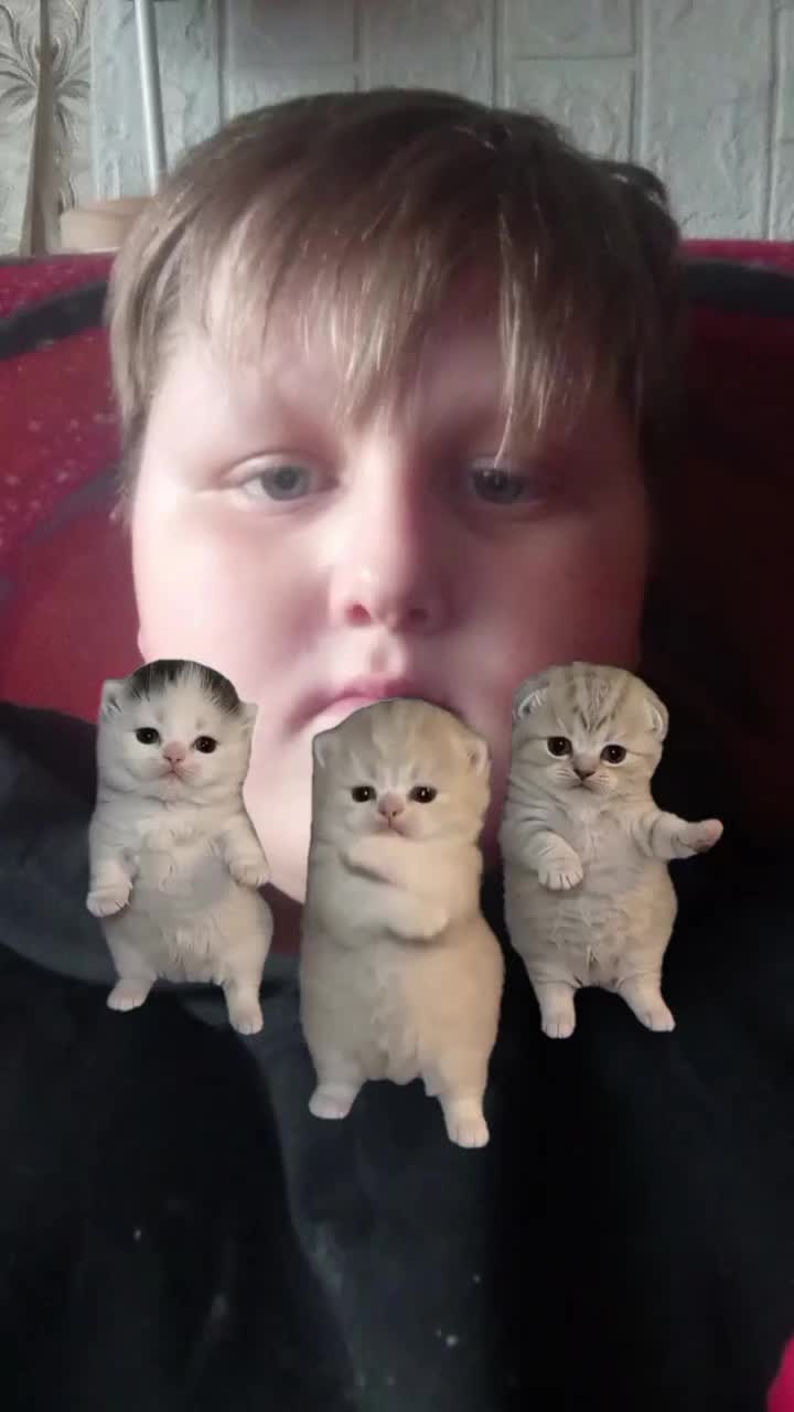 @ZVS_AVATAR