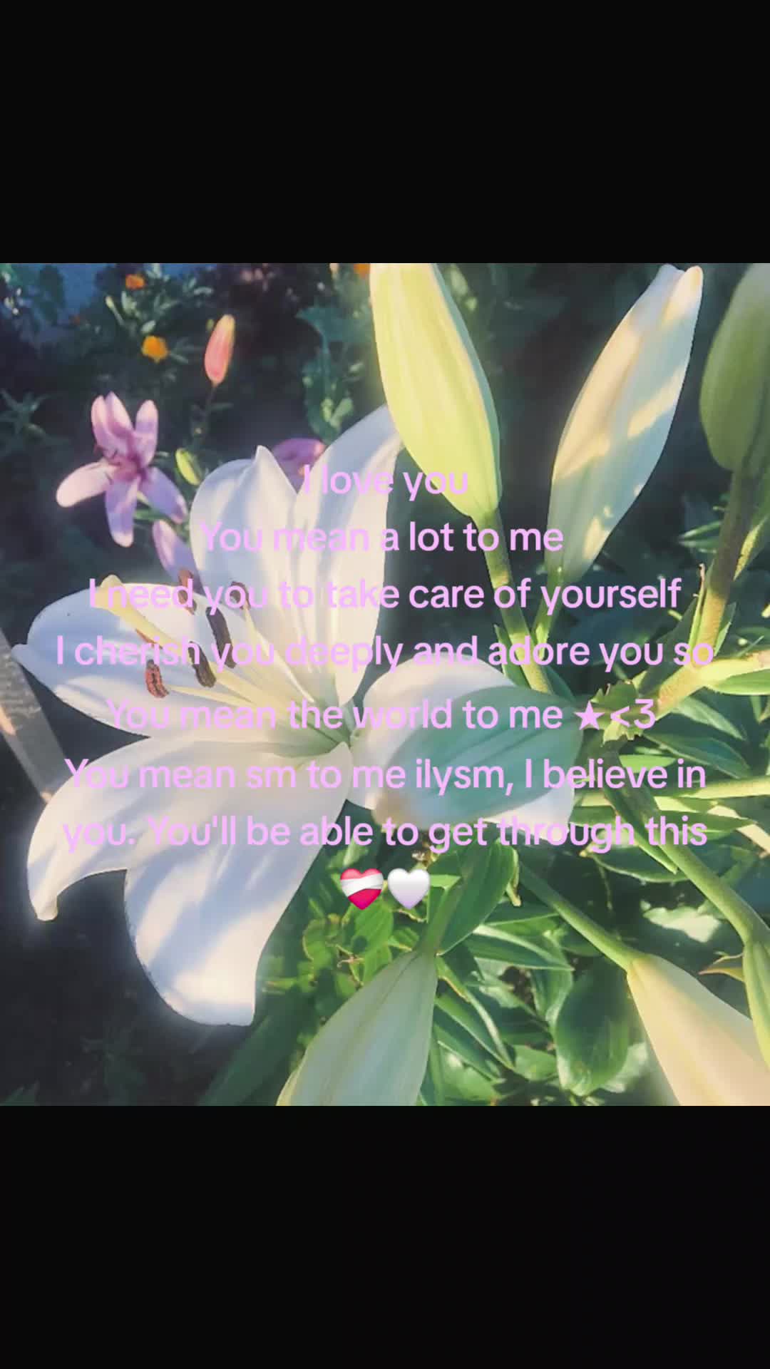 @*   ੈ✩‧₊˚*𝐴𝑥𝑒𝑙*   ੈ✩‧₊˚*