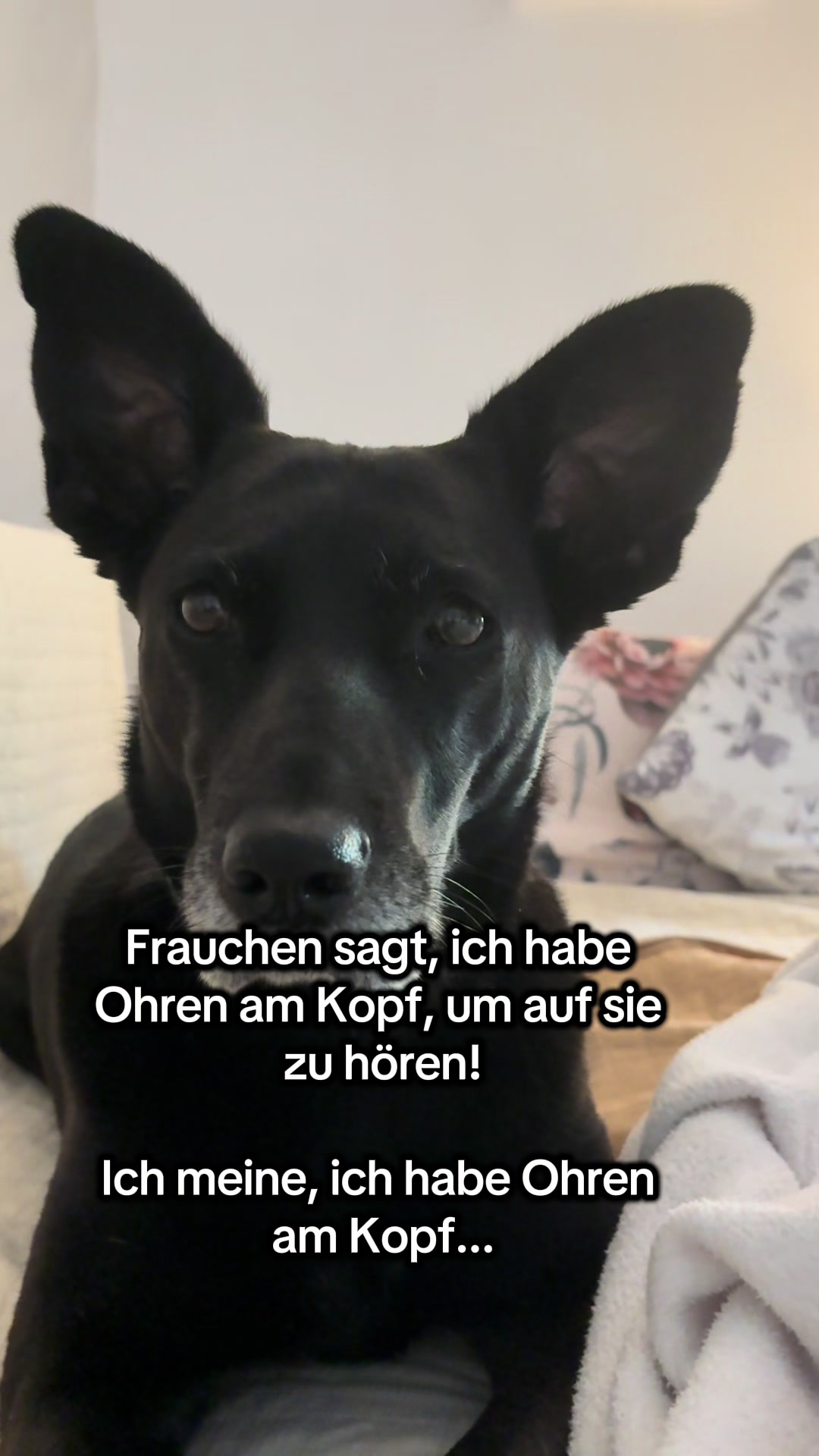 @BLACKY 🐶🐾