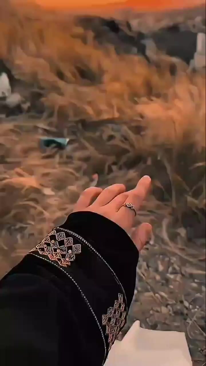 @Malik Gangster 😎 143