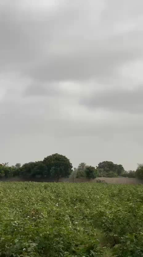 @❤پالاریF❤