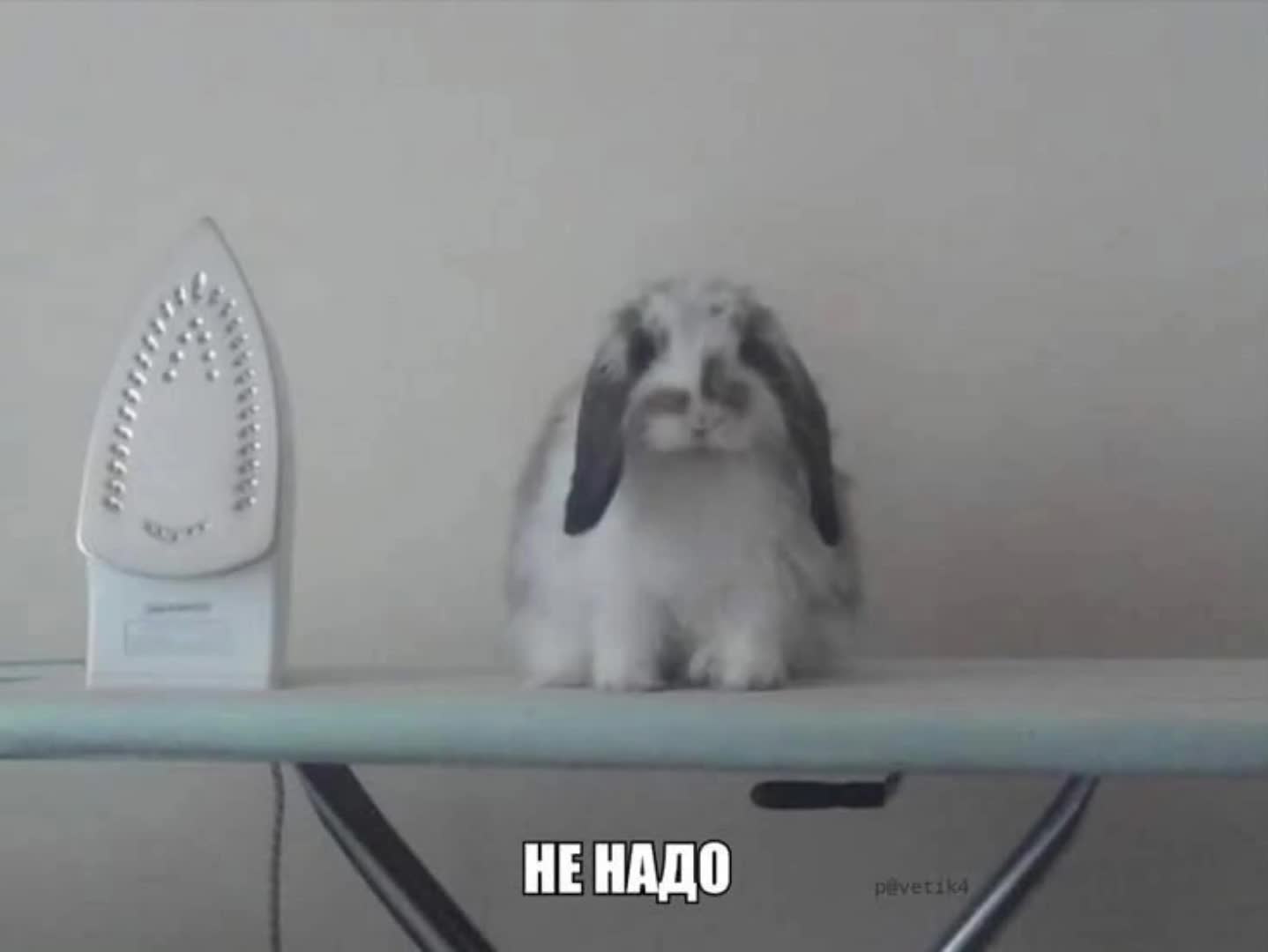 @kapa [he/him]