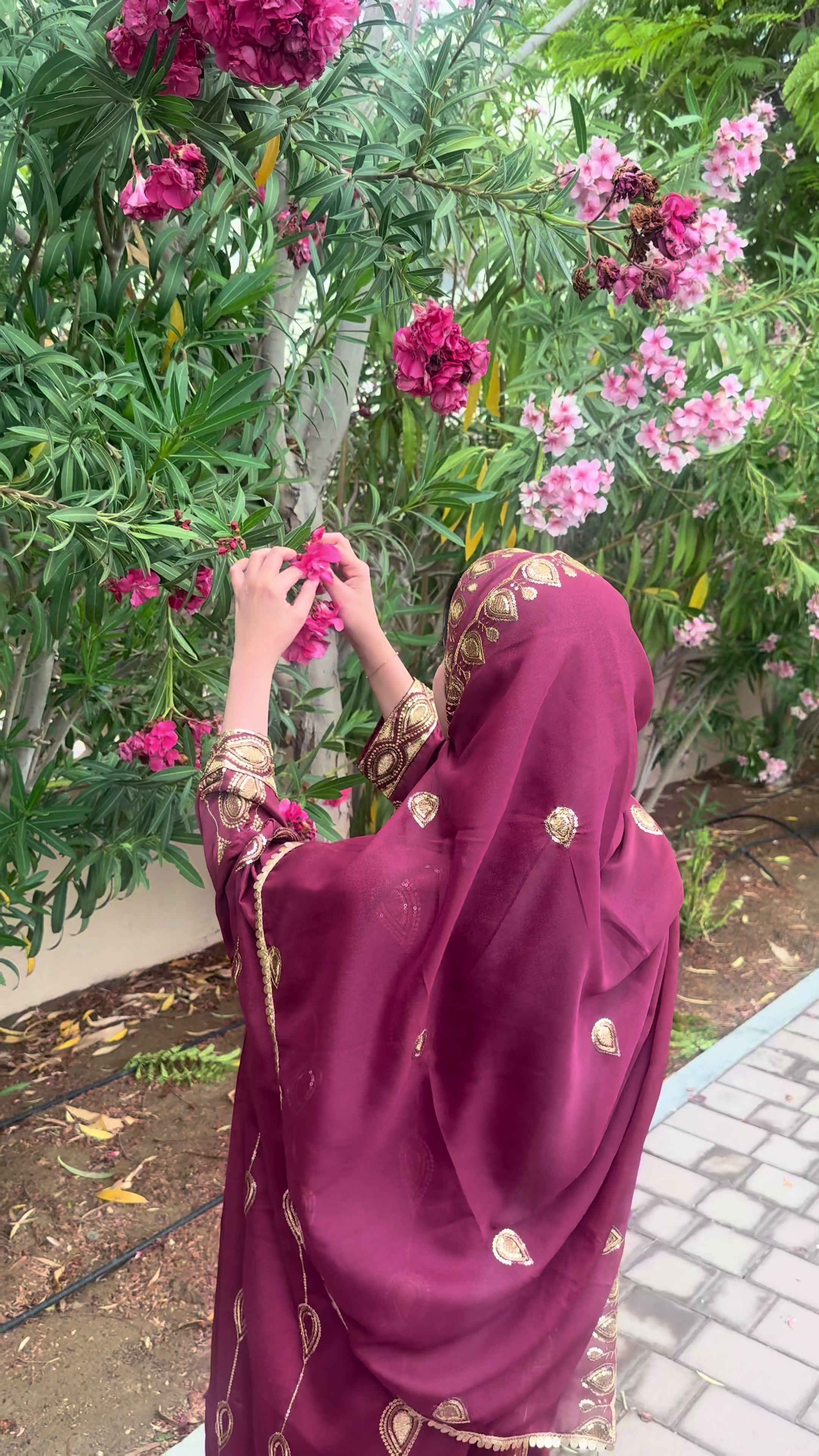 @MARAM🇴🇲
