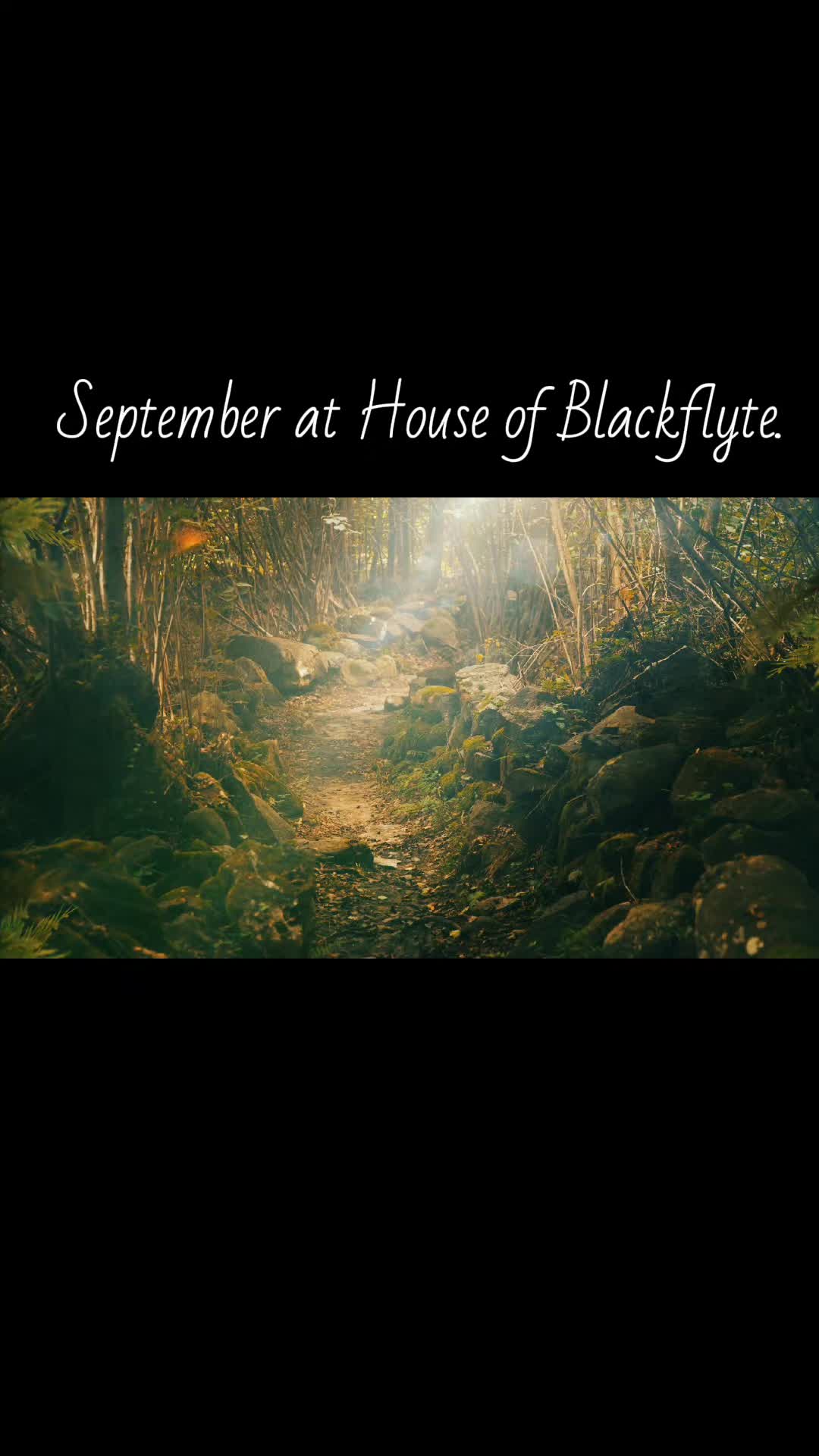 @Vesper Blackflyte Author