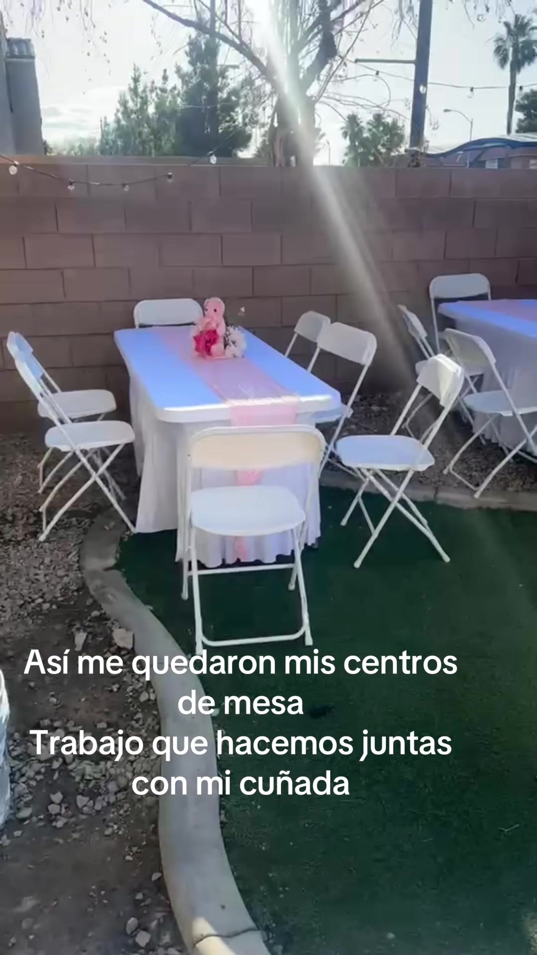 @Erika 🍒🍒🍓🍓🐢🌻