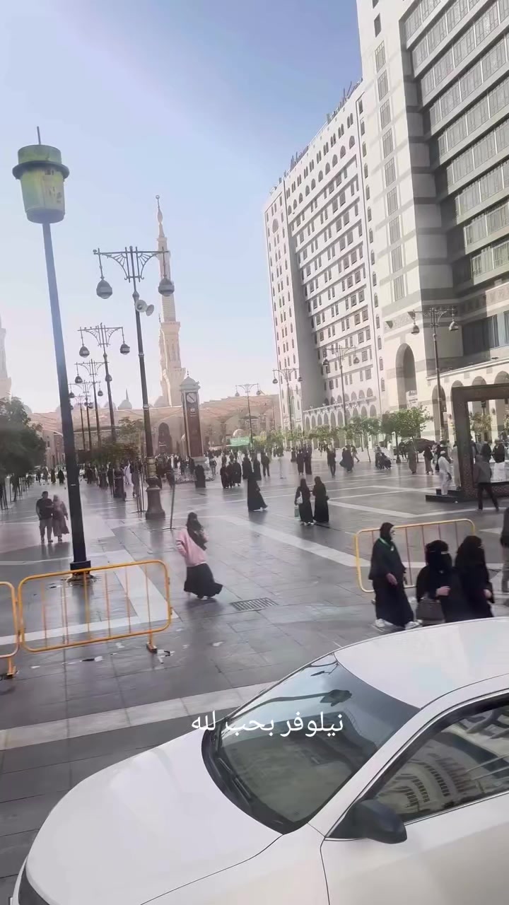 @نيلوفر